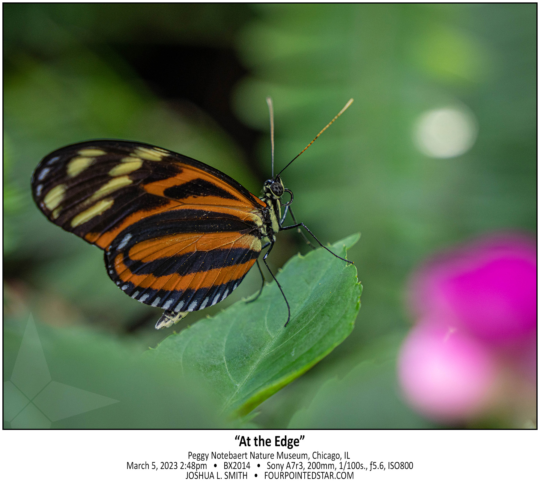 BX2014 230305 144800