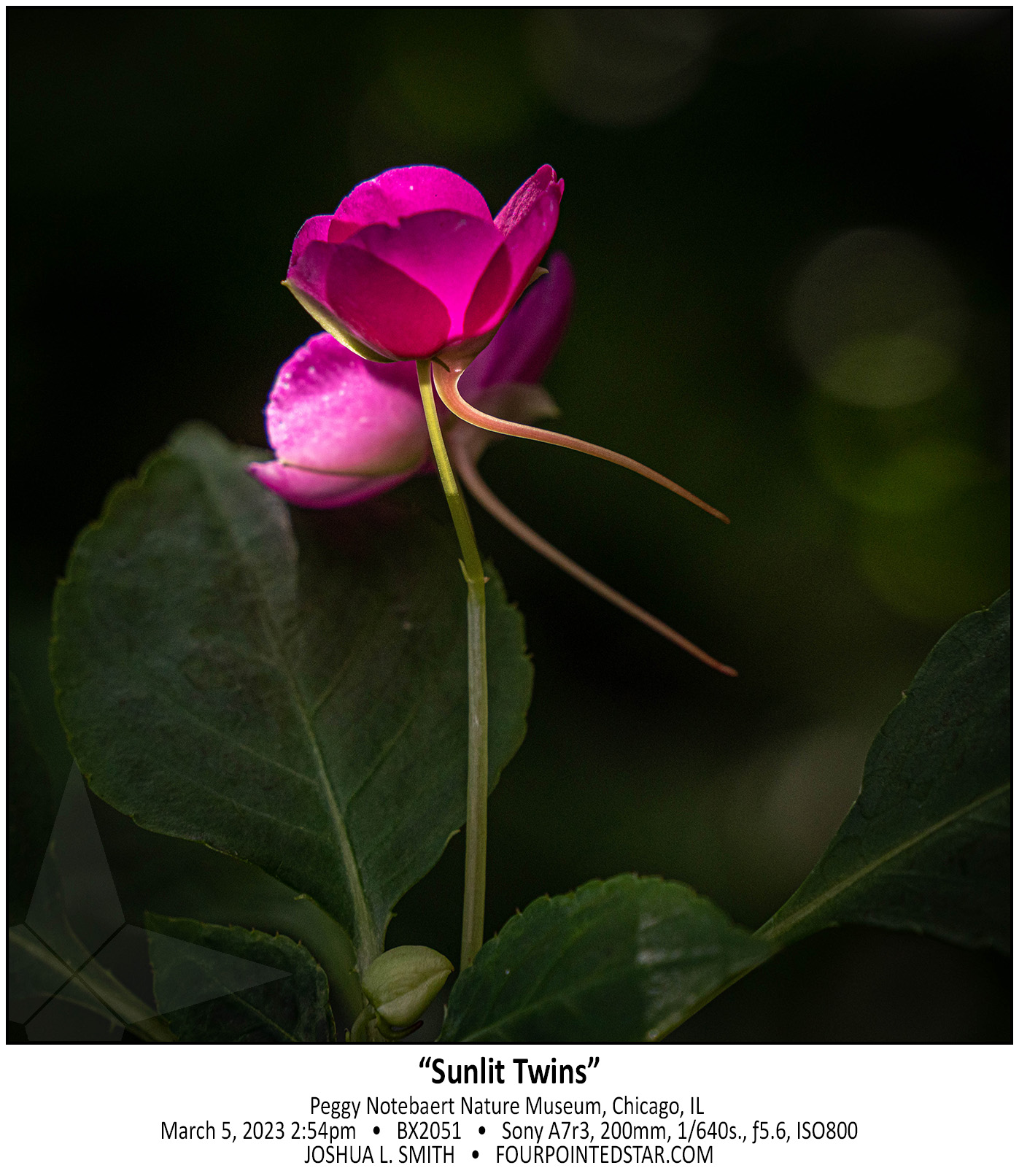 BX2051 230305 145459