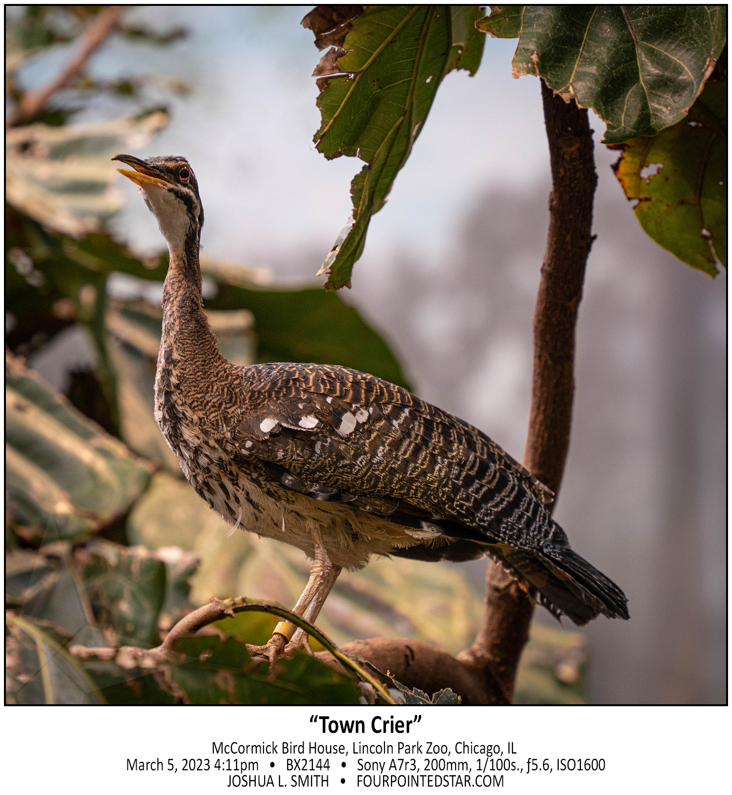 BX2144 230305 161138