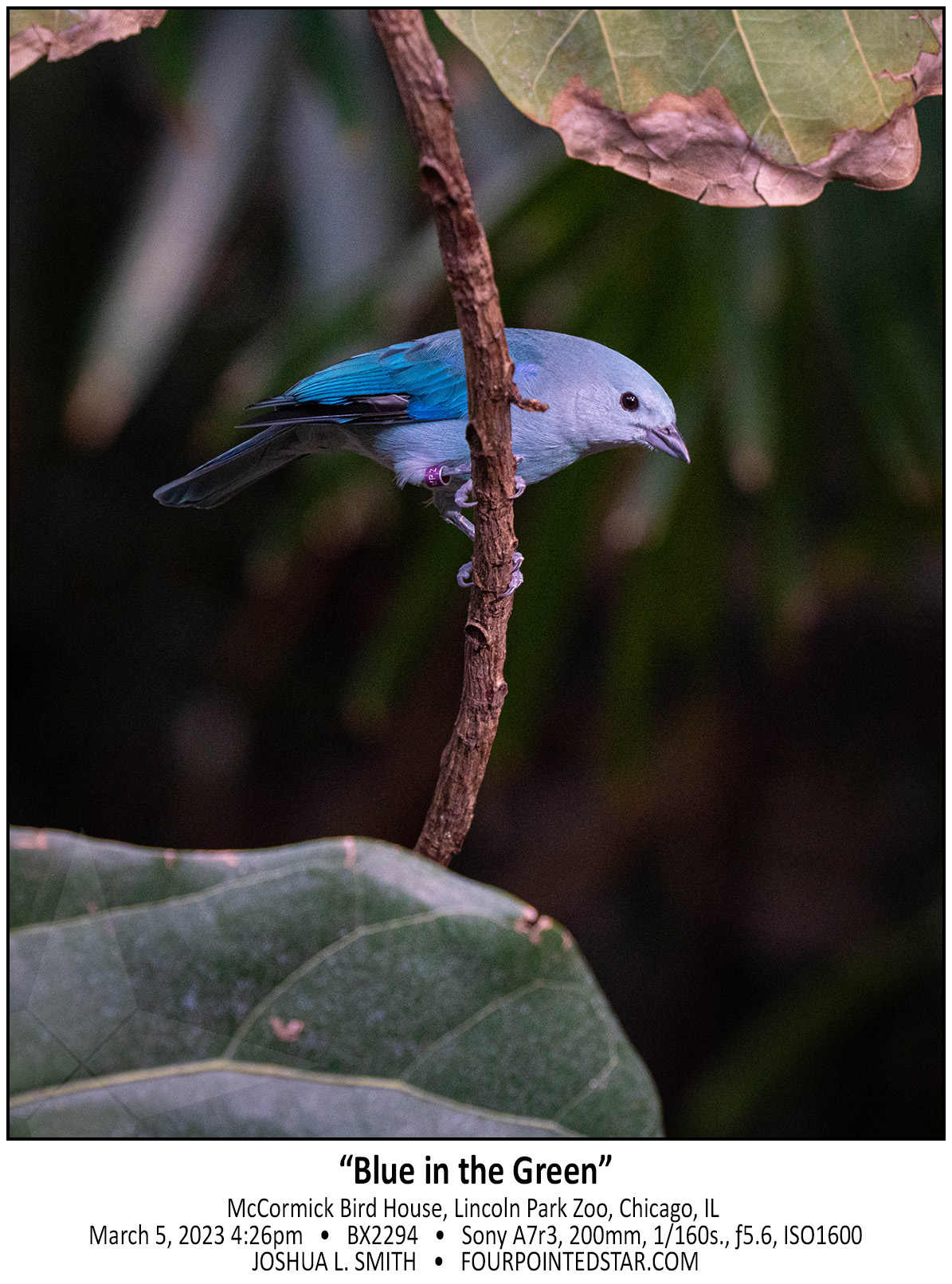 BX2294 230205 162651