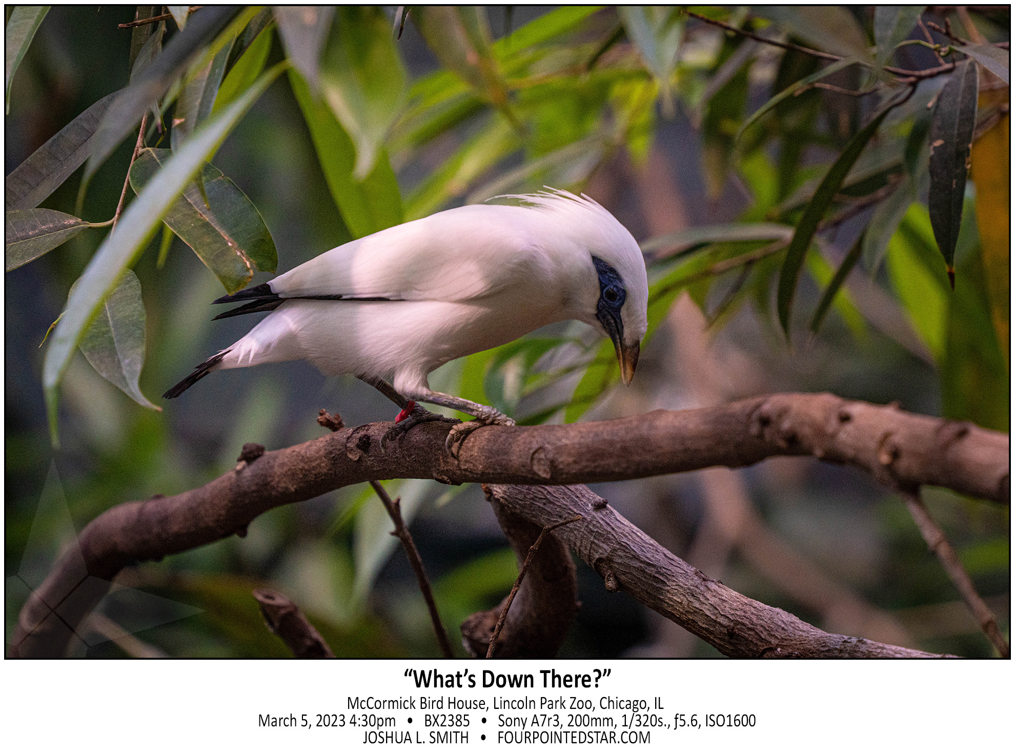 BX2385 230305 163042