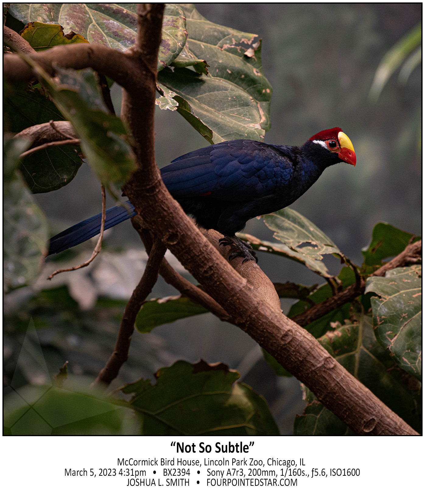 BX2394 230305 163100