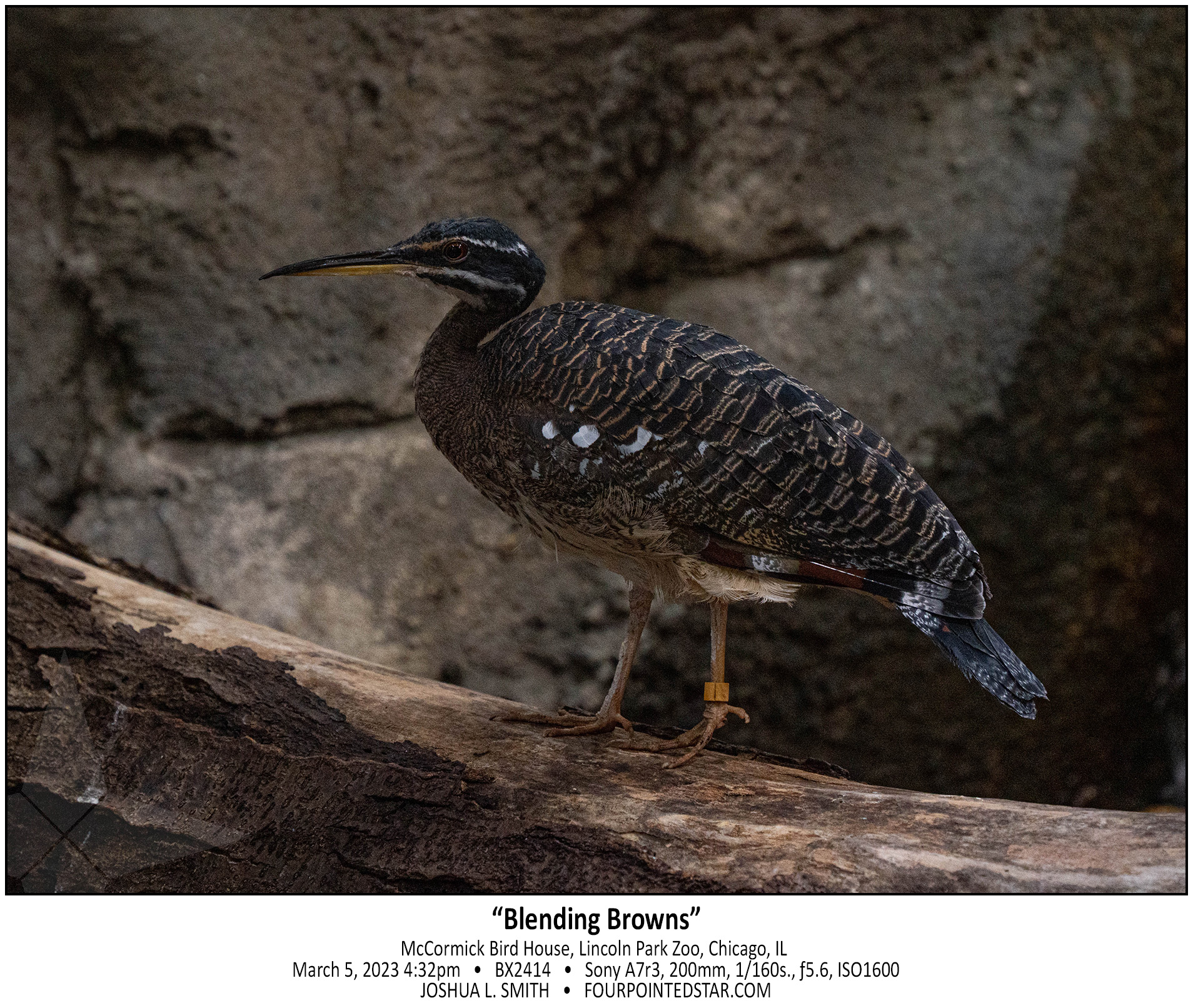 BX2414 230305 163242