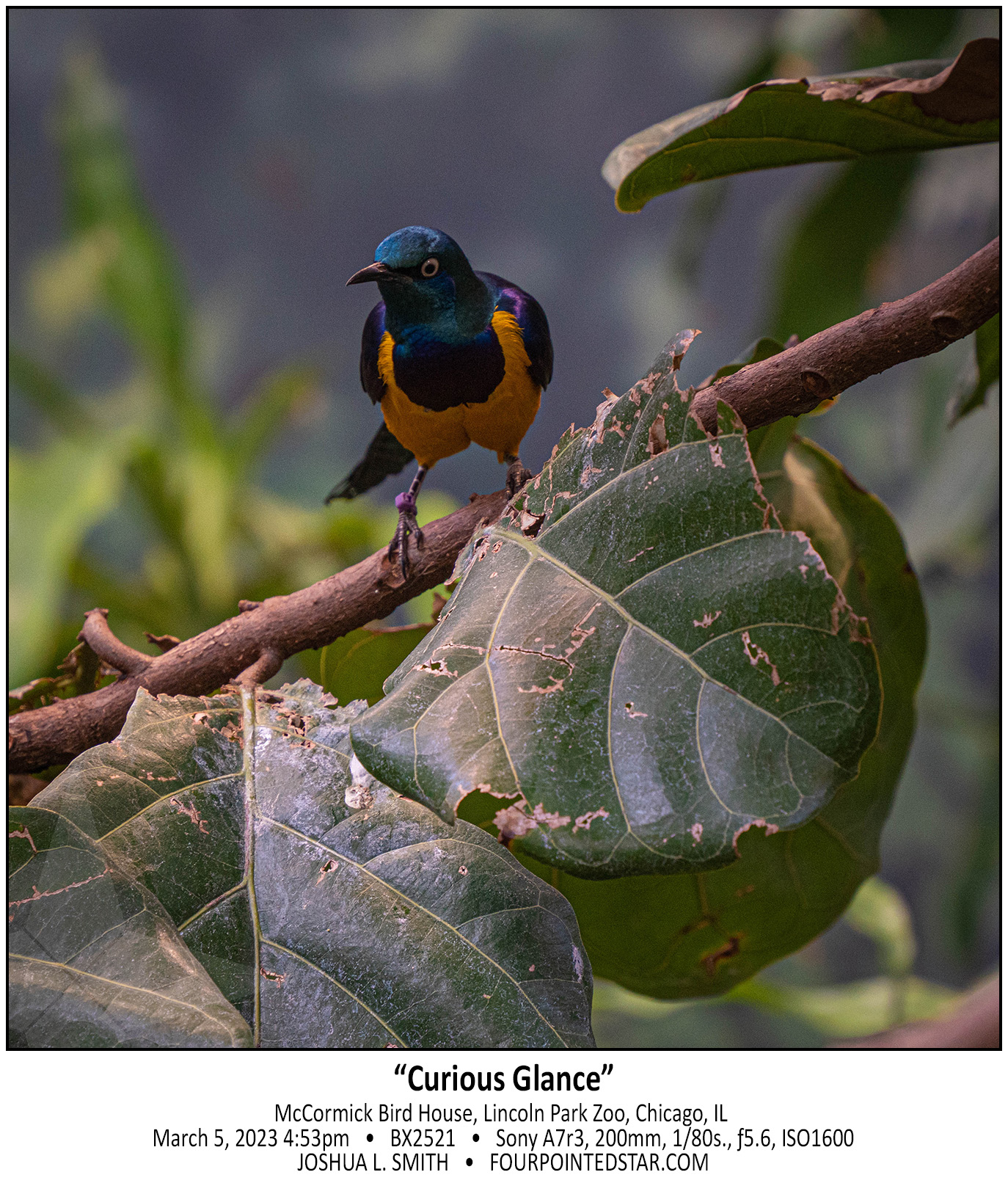 BX2521 230305 165356