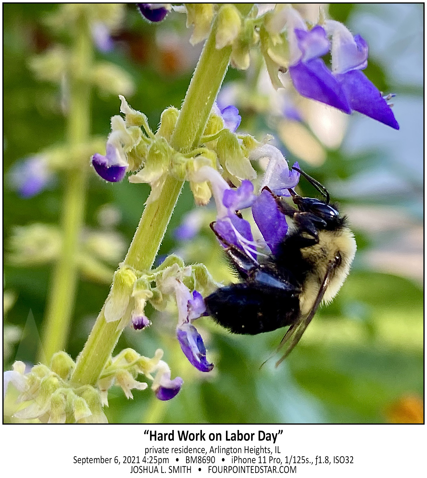 BM8690 210906 162520