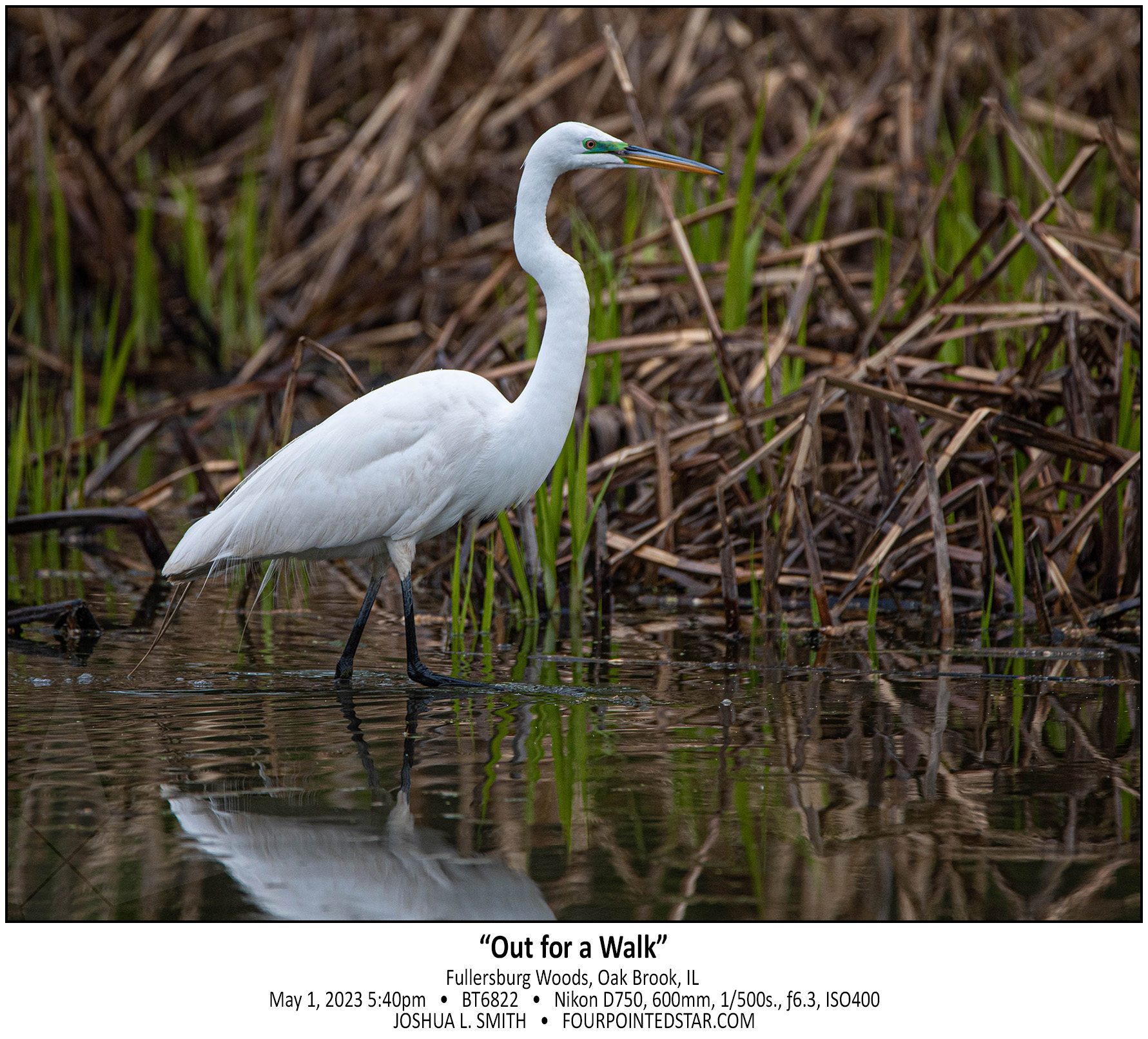 BT6822 230501 174051