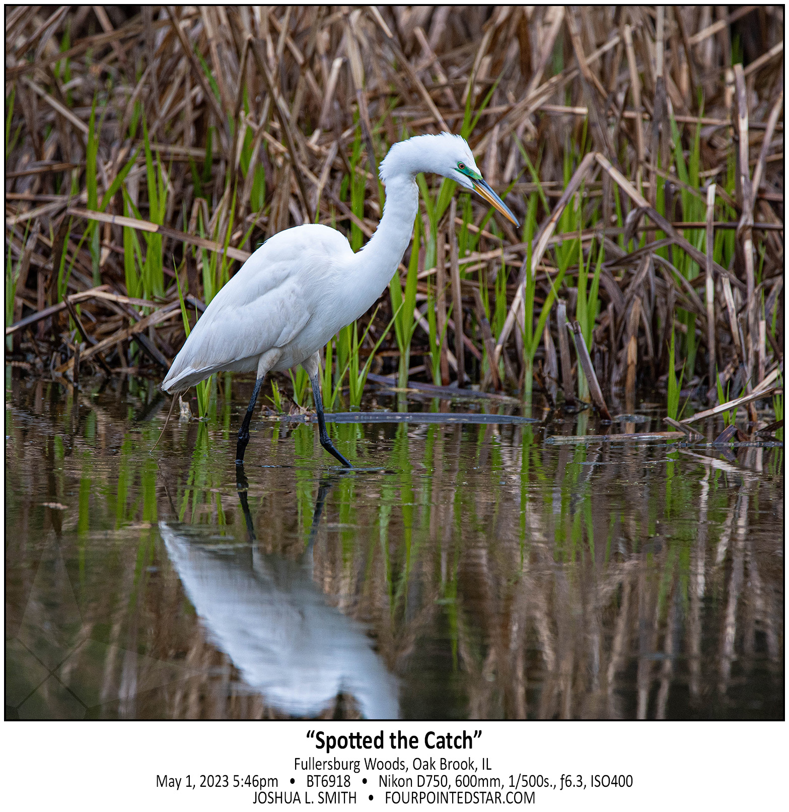 BT6918 230501 175601