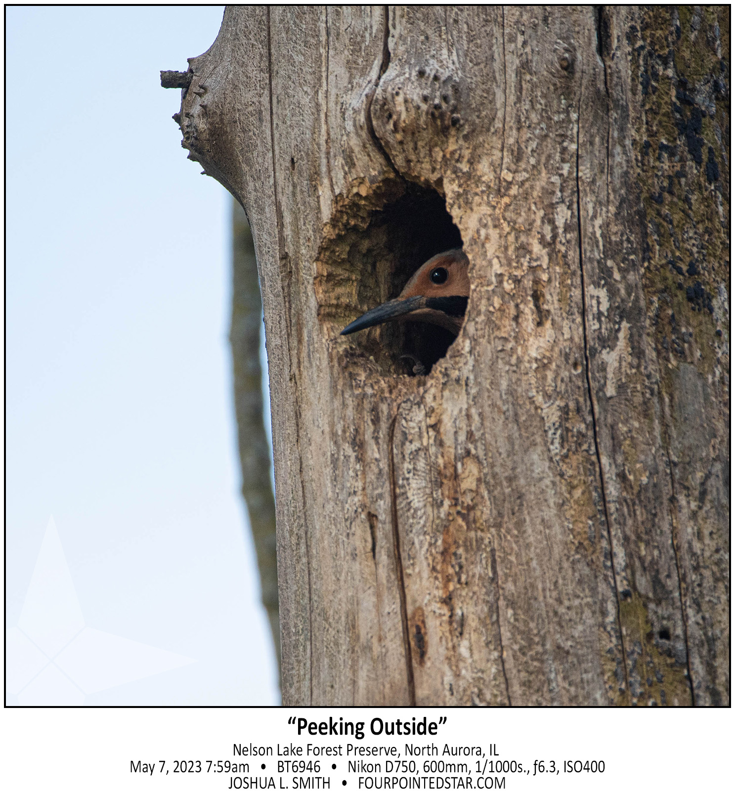 BT6946 230507 075911