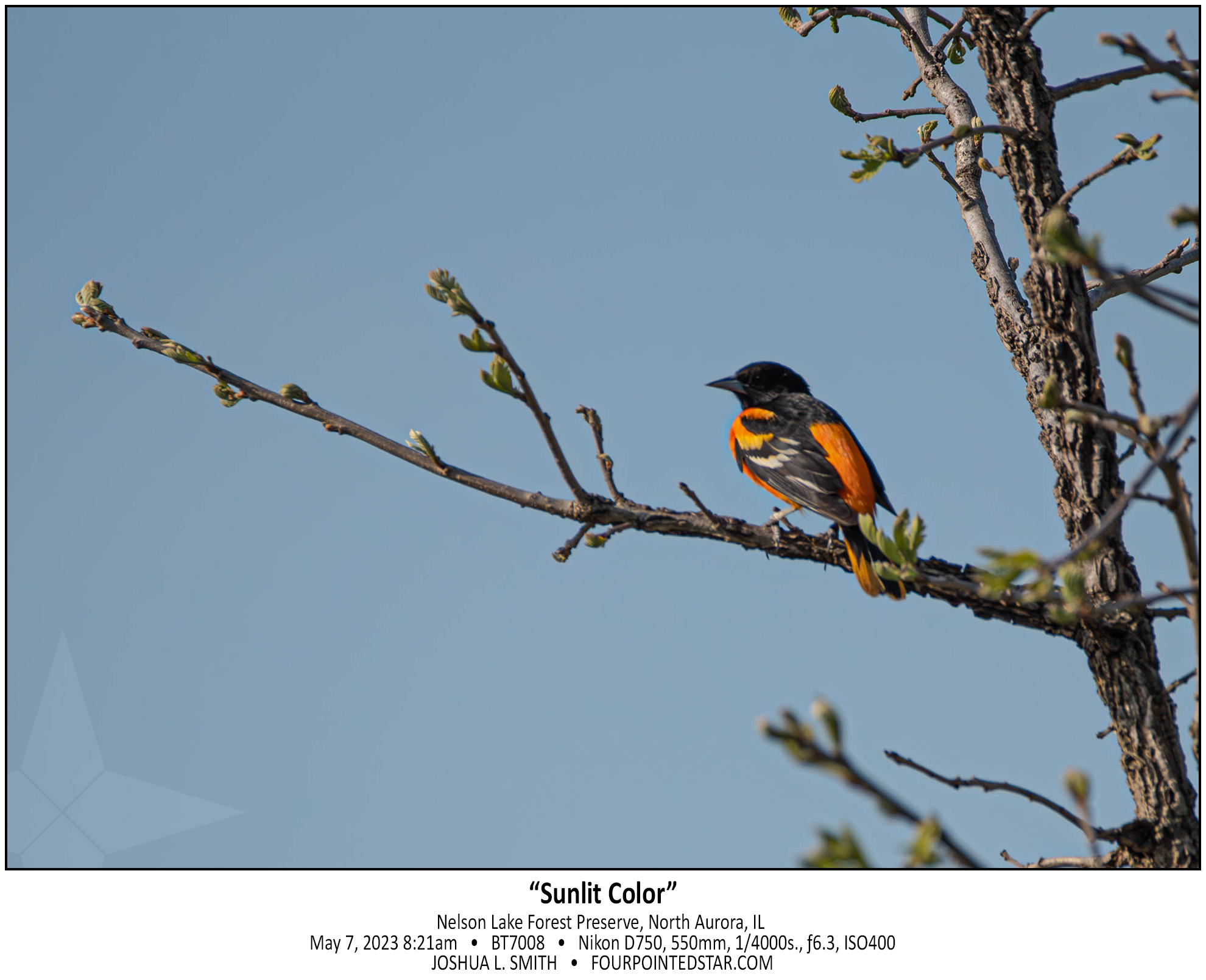 BT7008 230507 082104