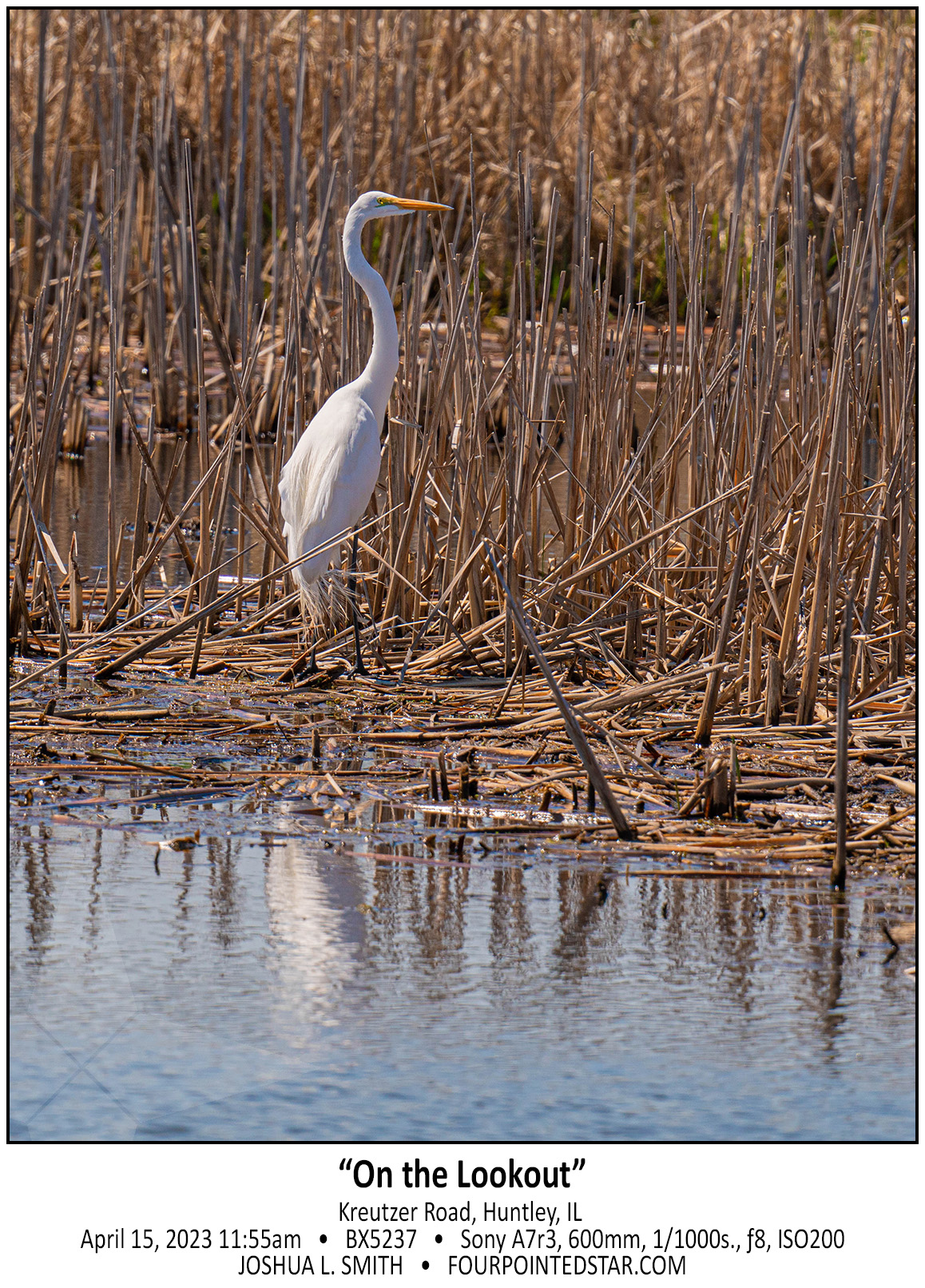 BX5237 230415 115524