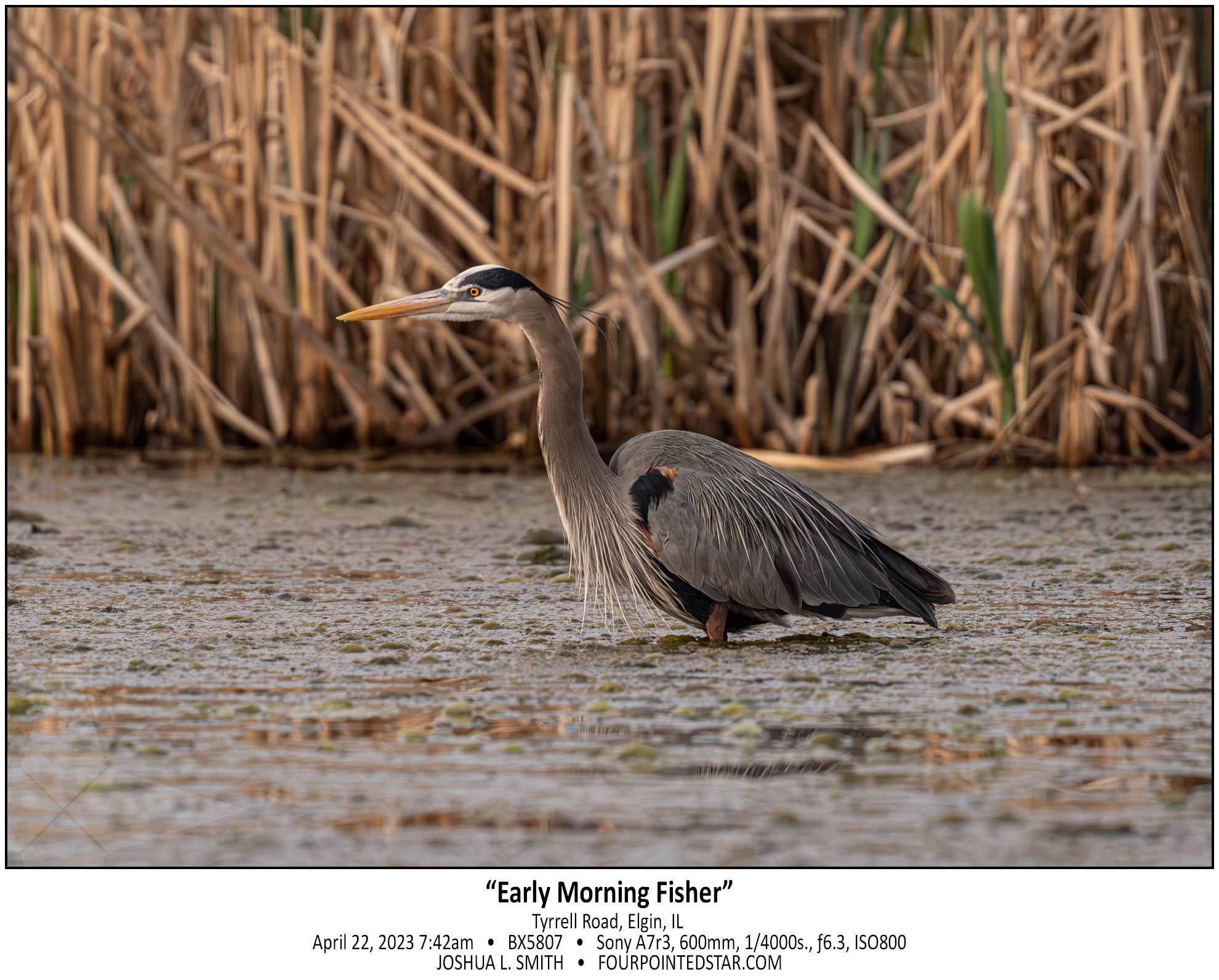 BX5807 230422 074226