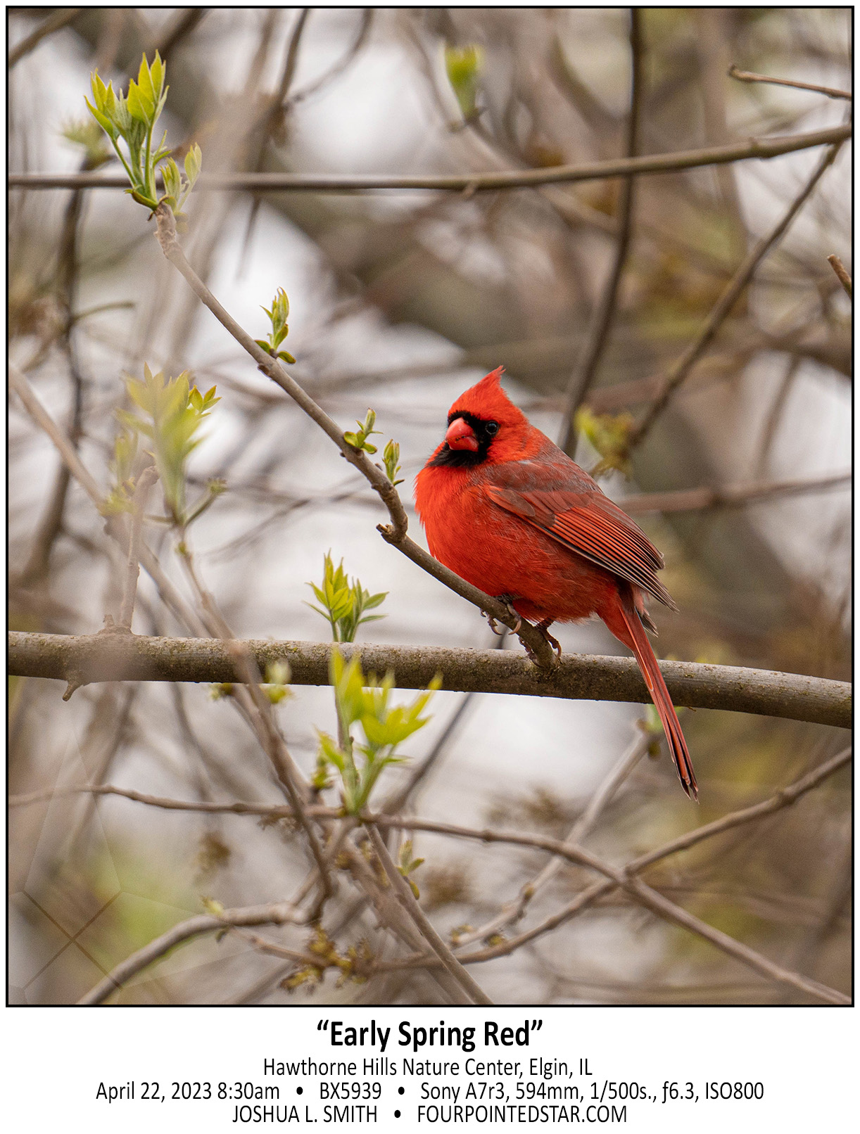 BX5939 230422 083049