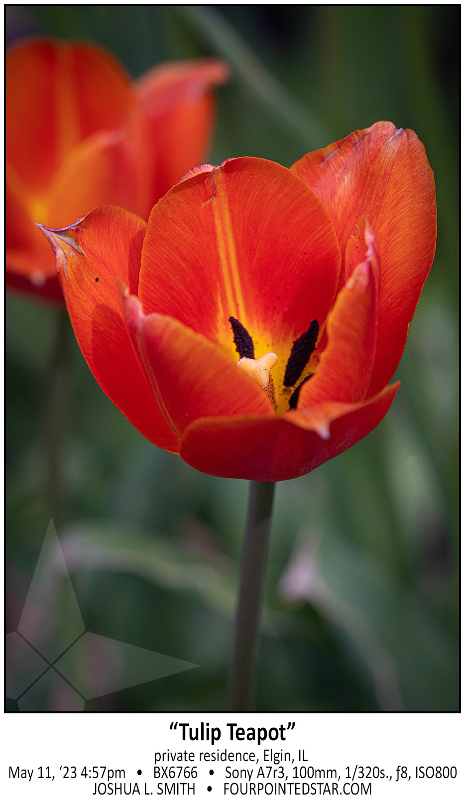 BX6766 230511 165731