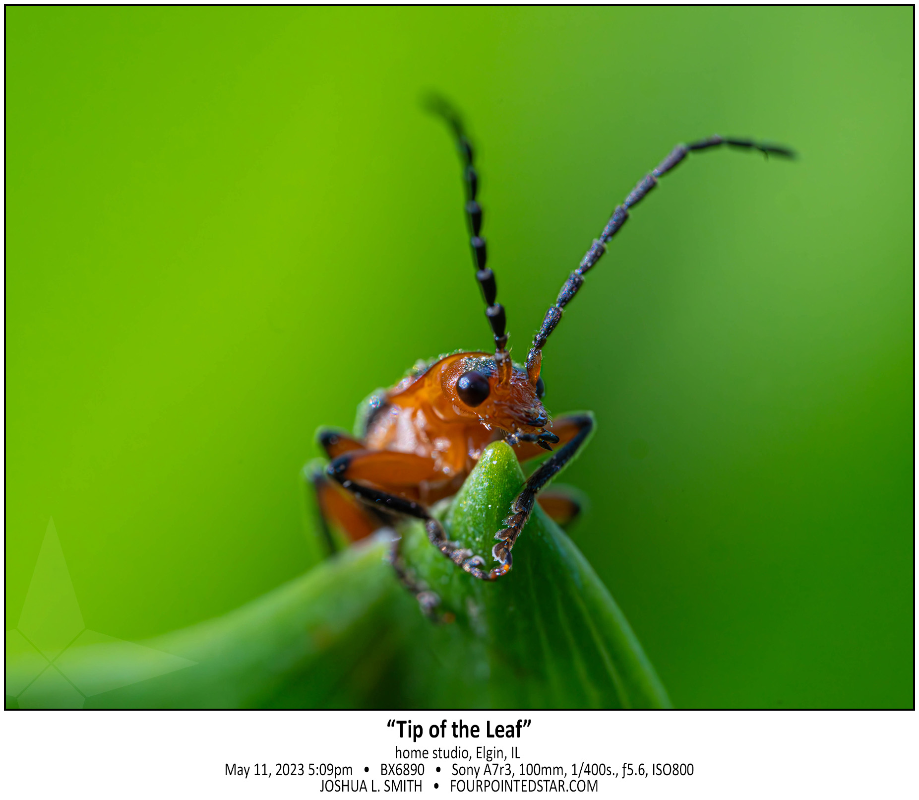 BX6890 230511 170910