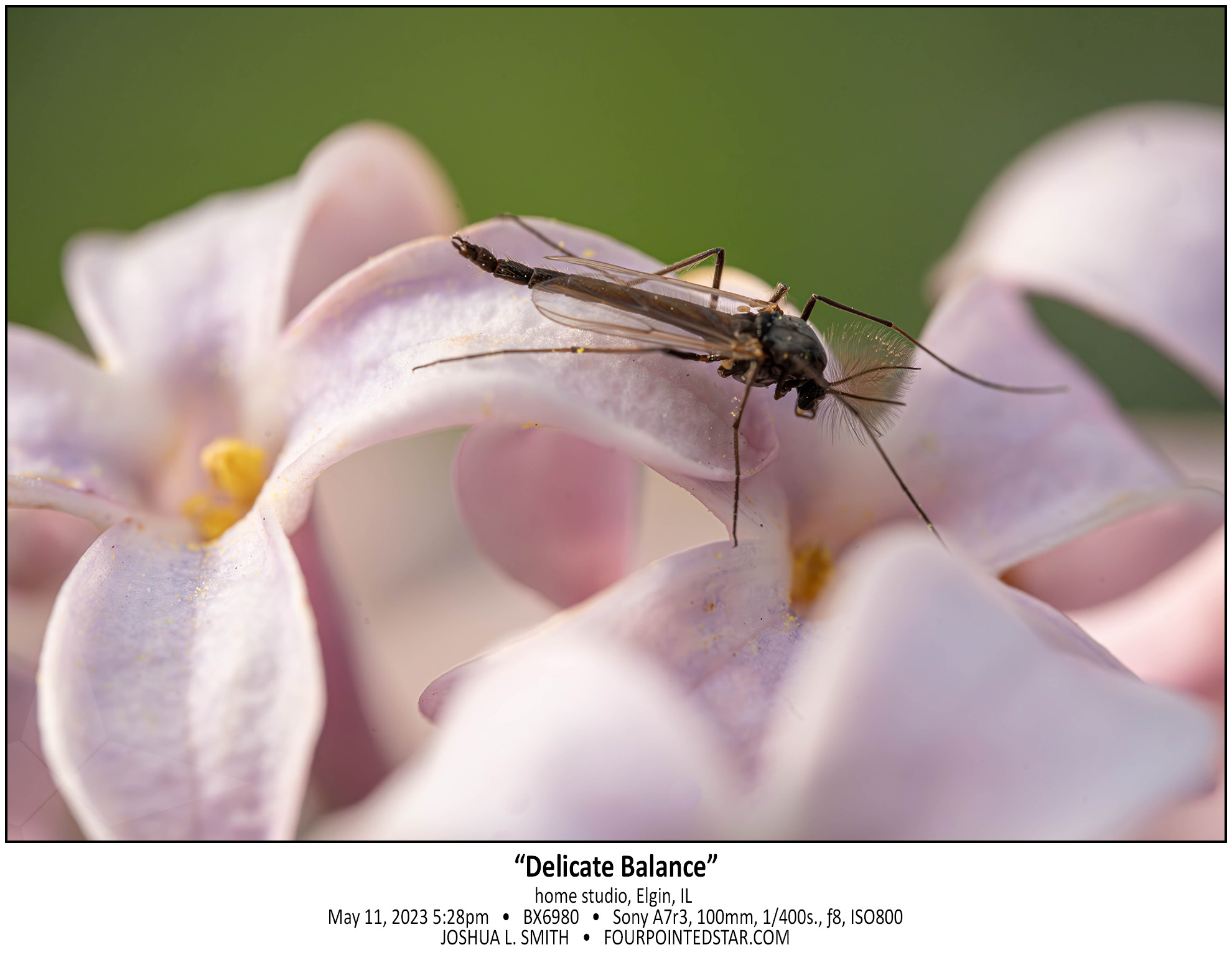 BX6980 230511 172813