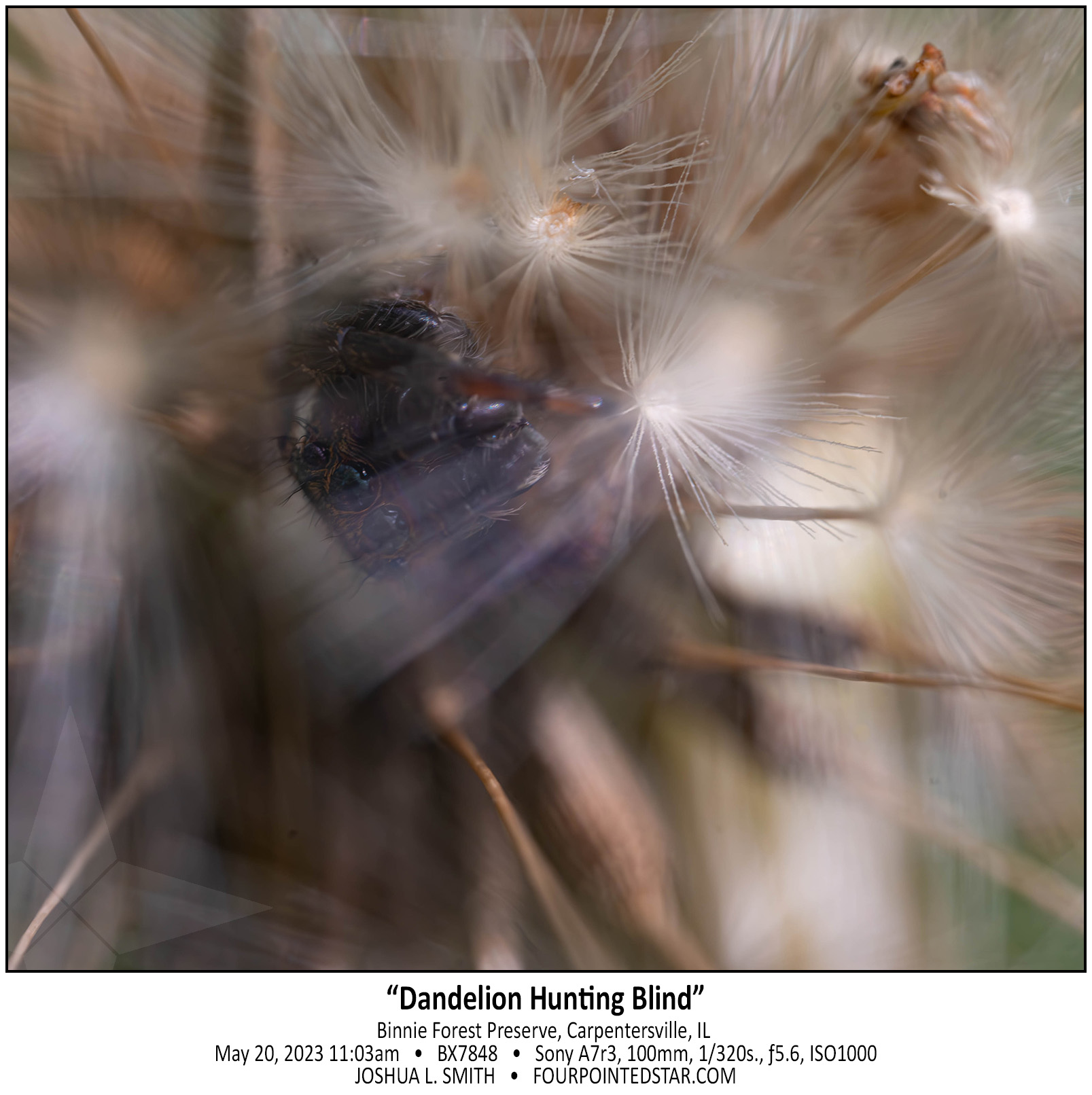 BX7848 230520 110315