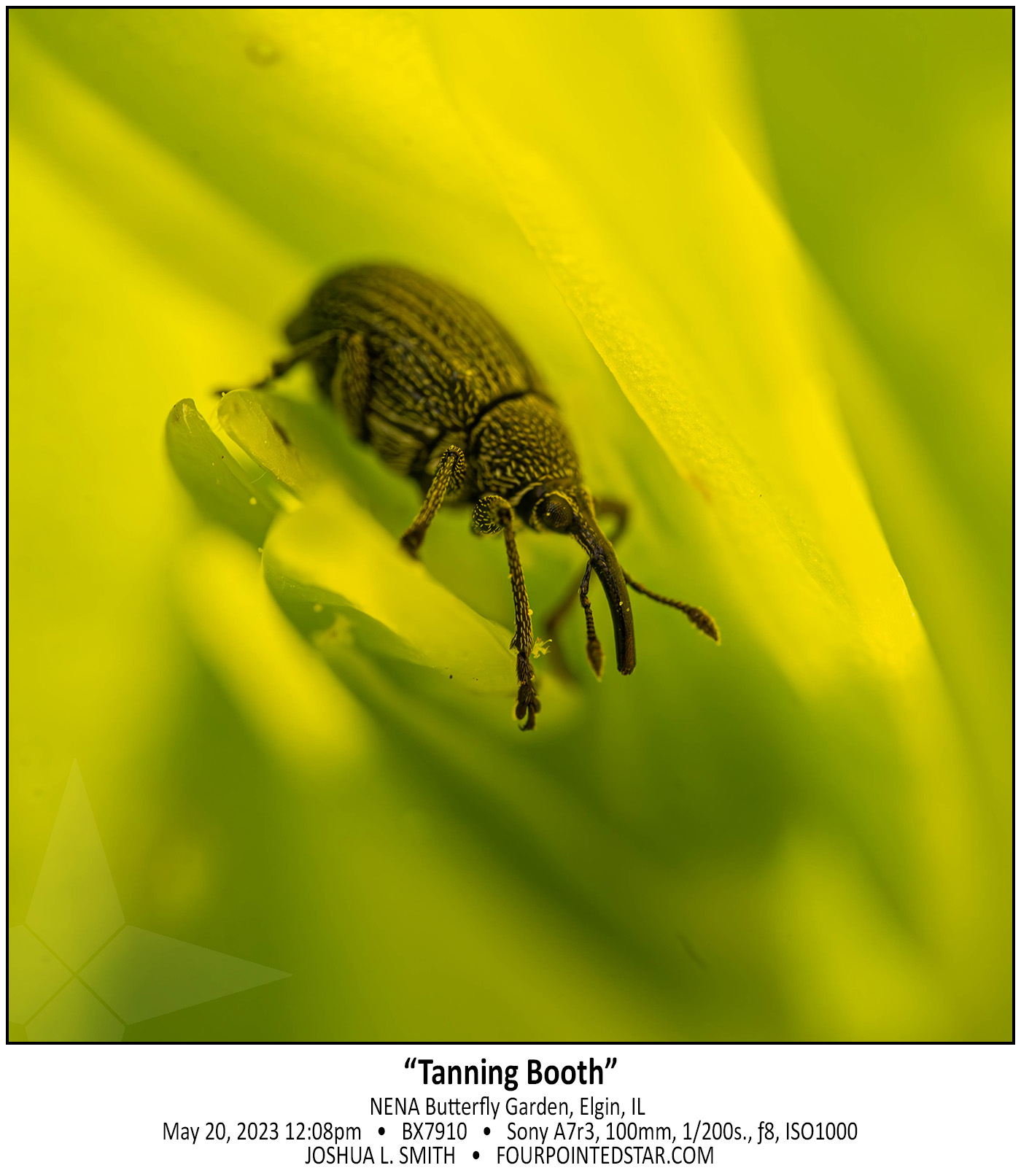 BX7910 230520 120811