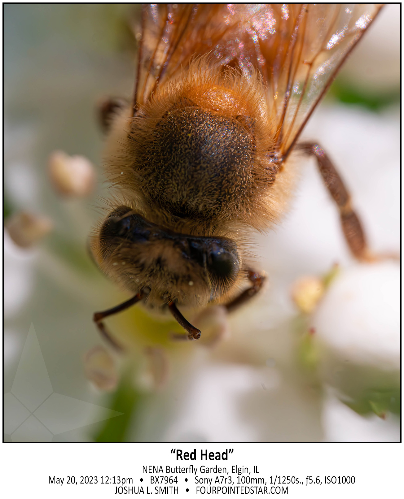 BX7964 230520 121312