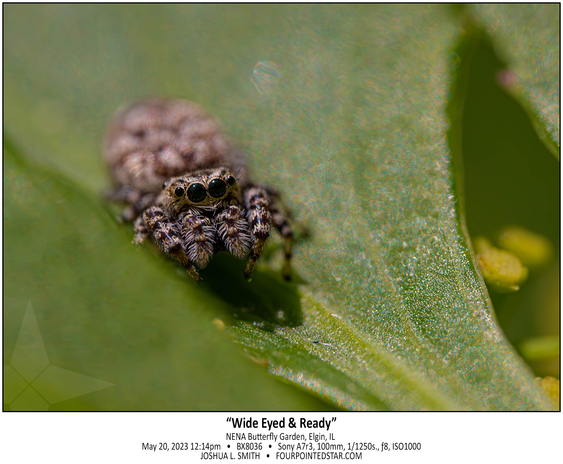 BX8036 230520 121458