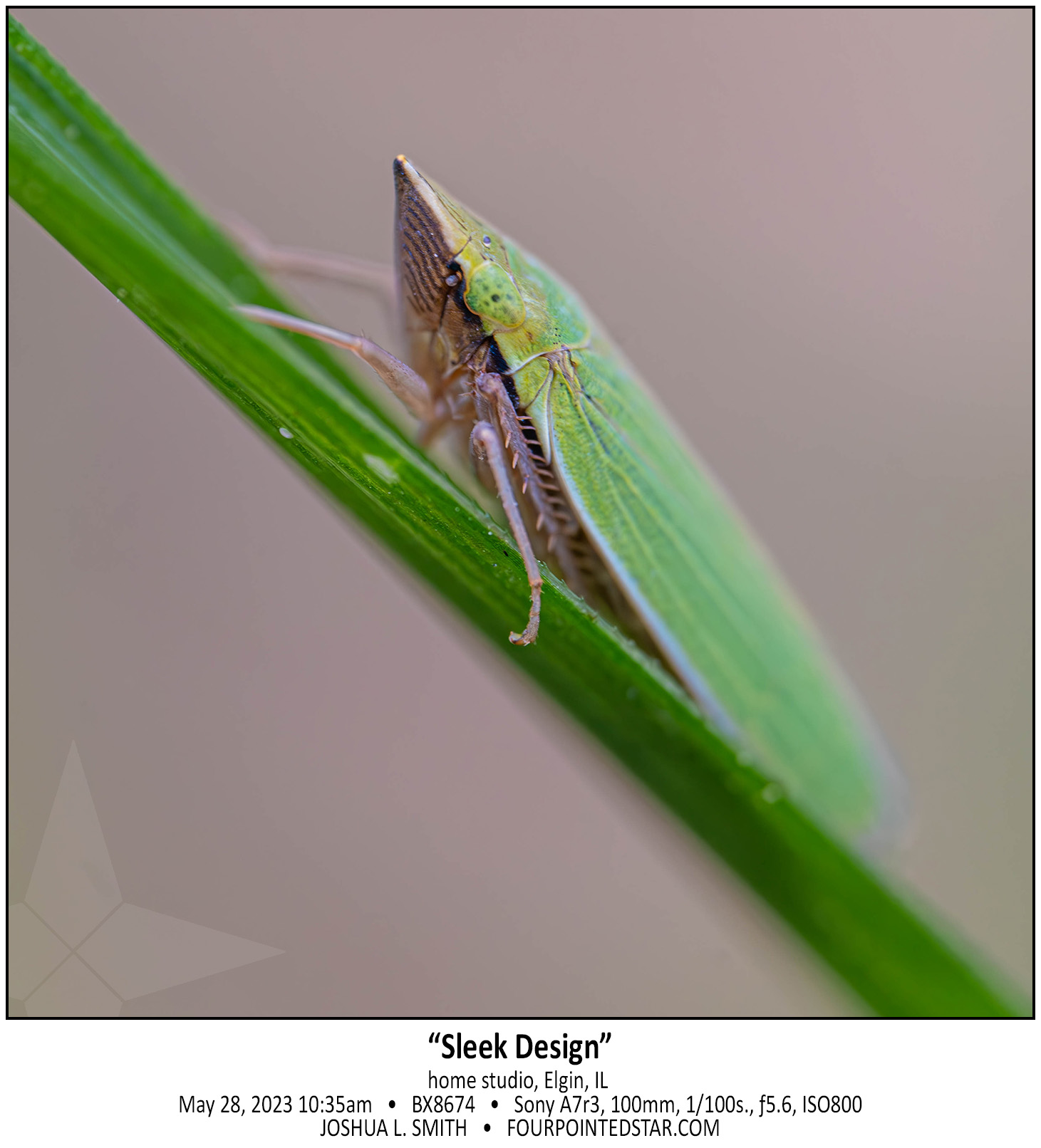 BX8674 230528 103525