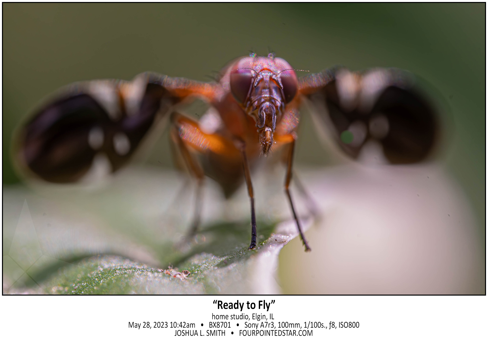 BX8701 230528 104226