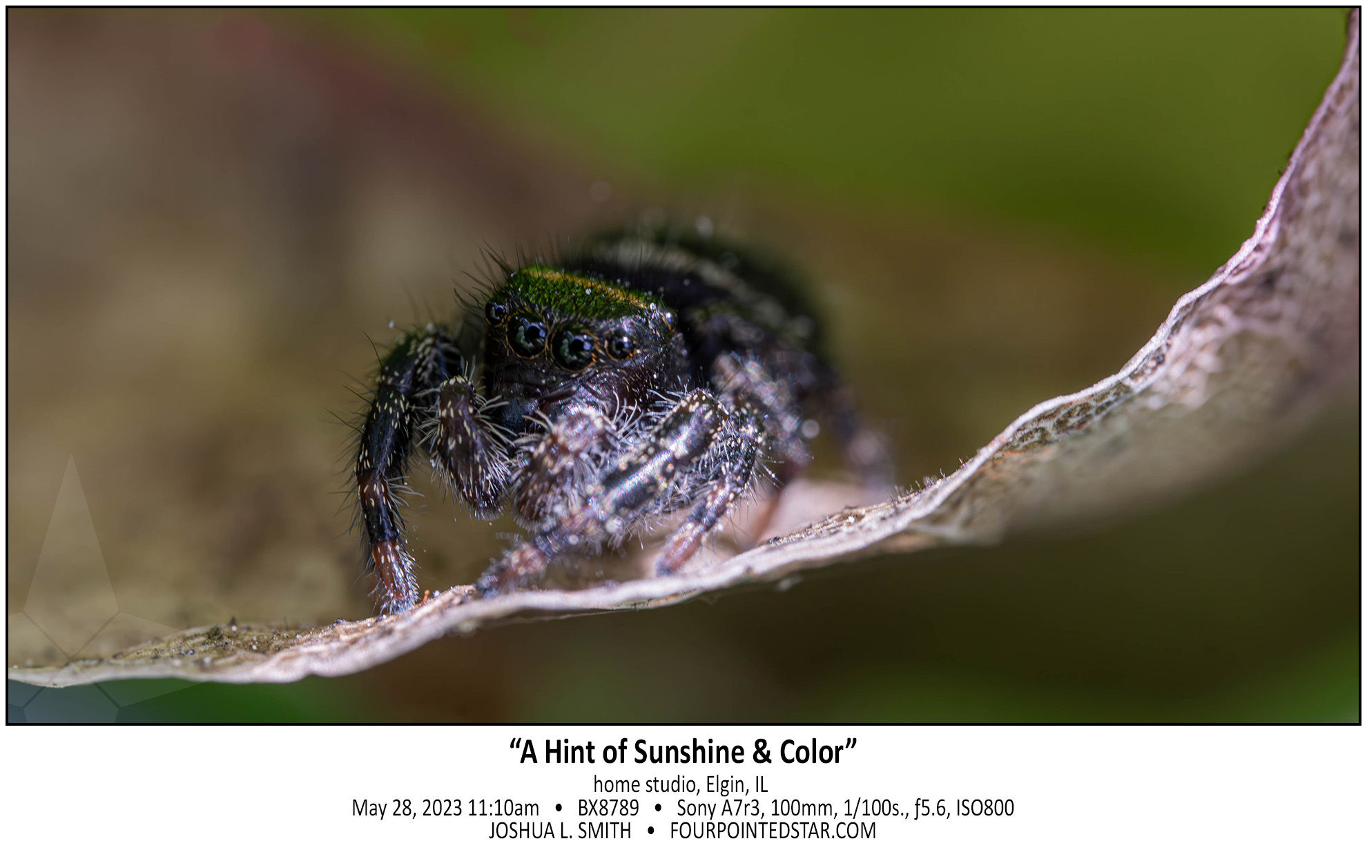 BX8789 230528 111049