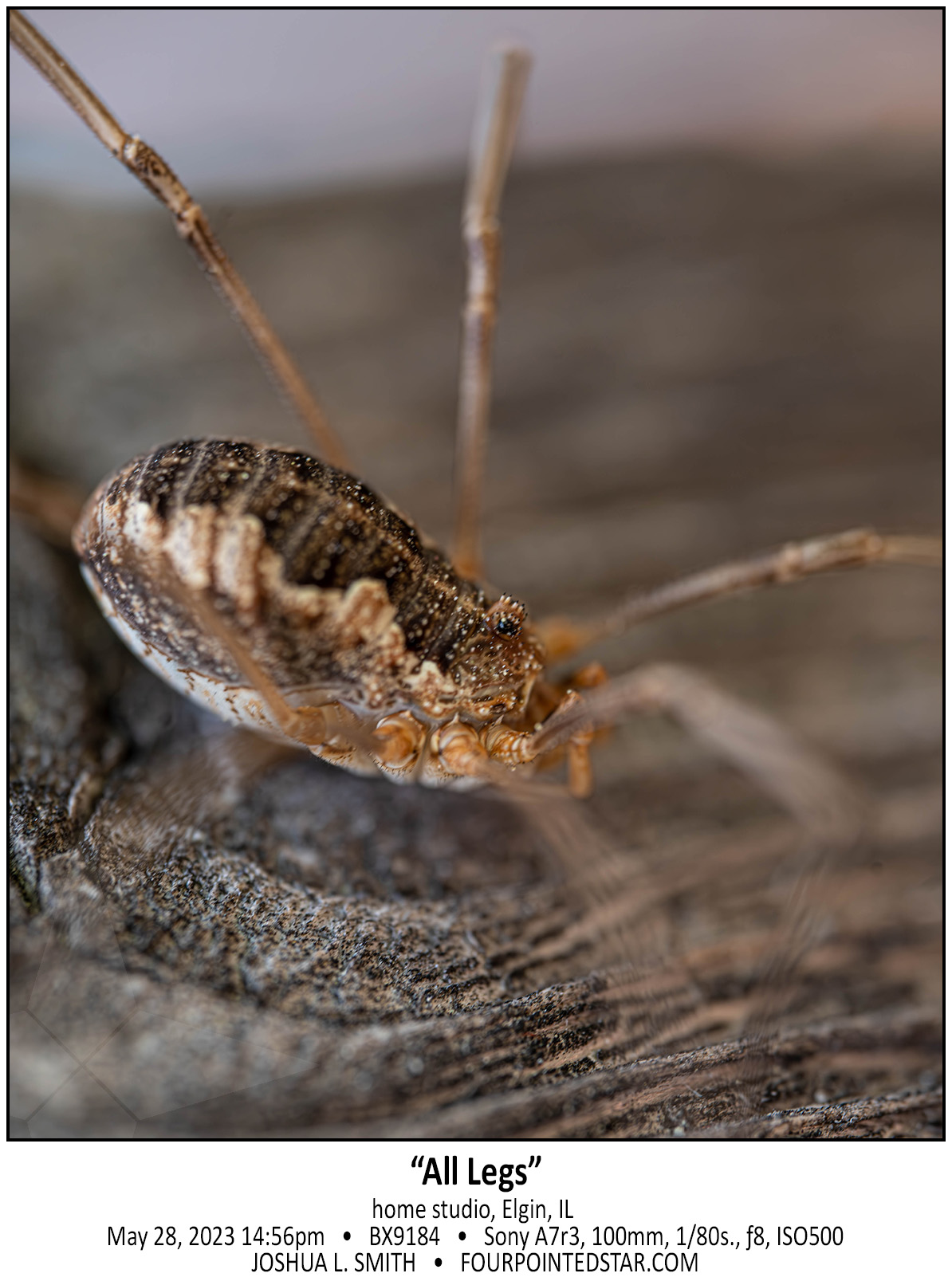 BX9184 230529 165625