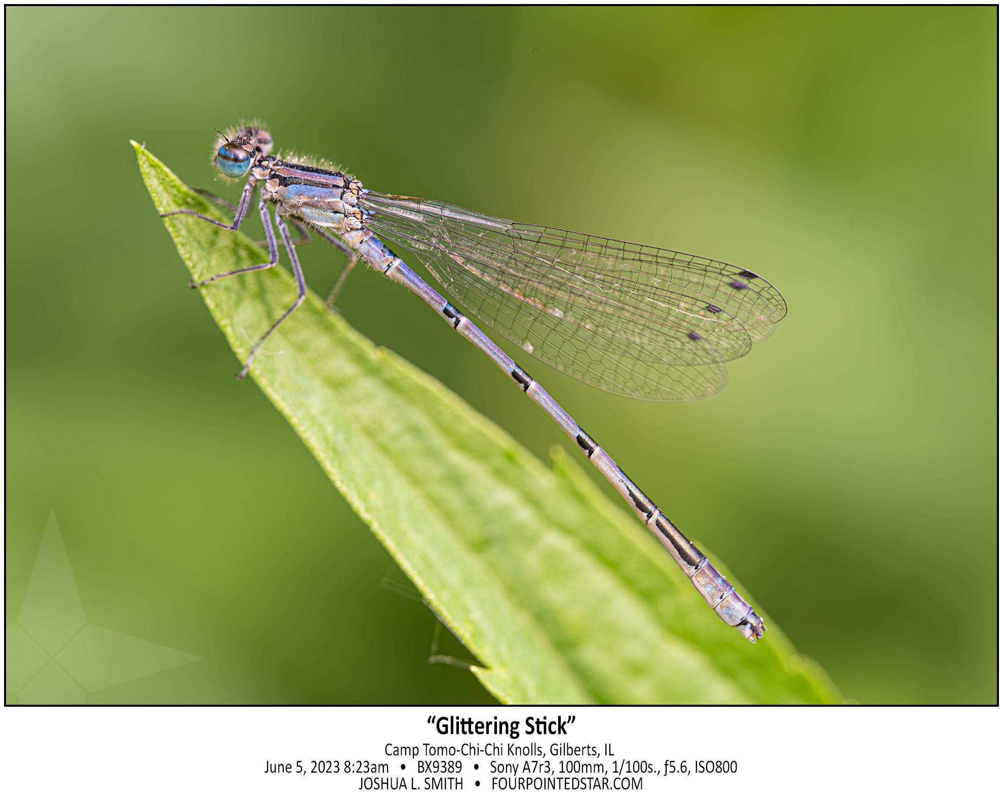 BX9389 230605 082312