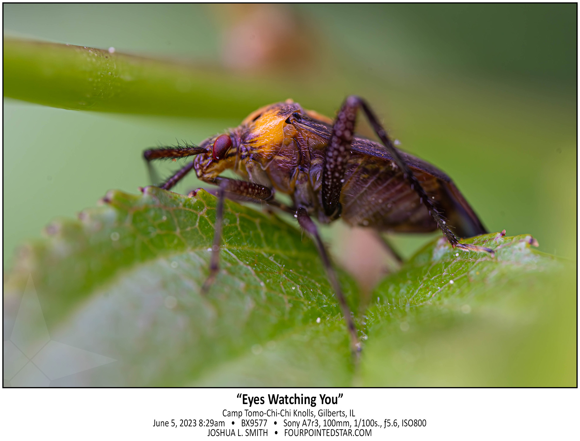 BX9577 230605 082946