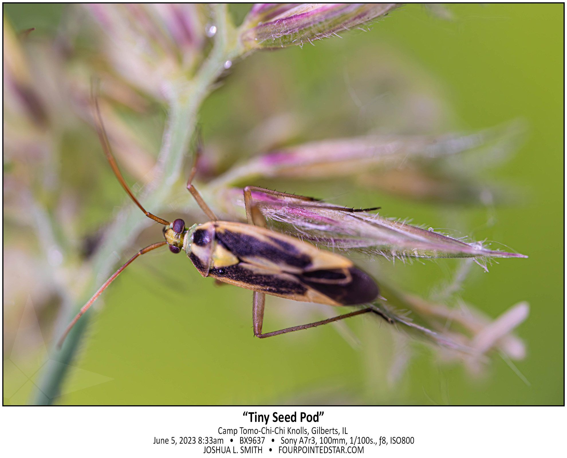 BX9637 230605 083352