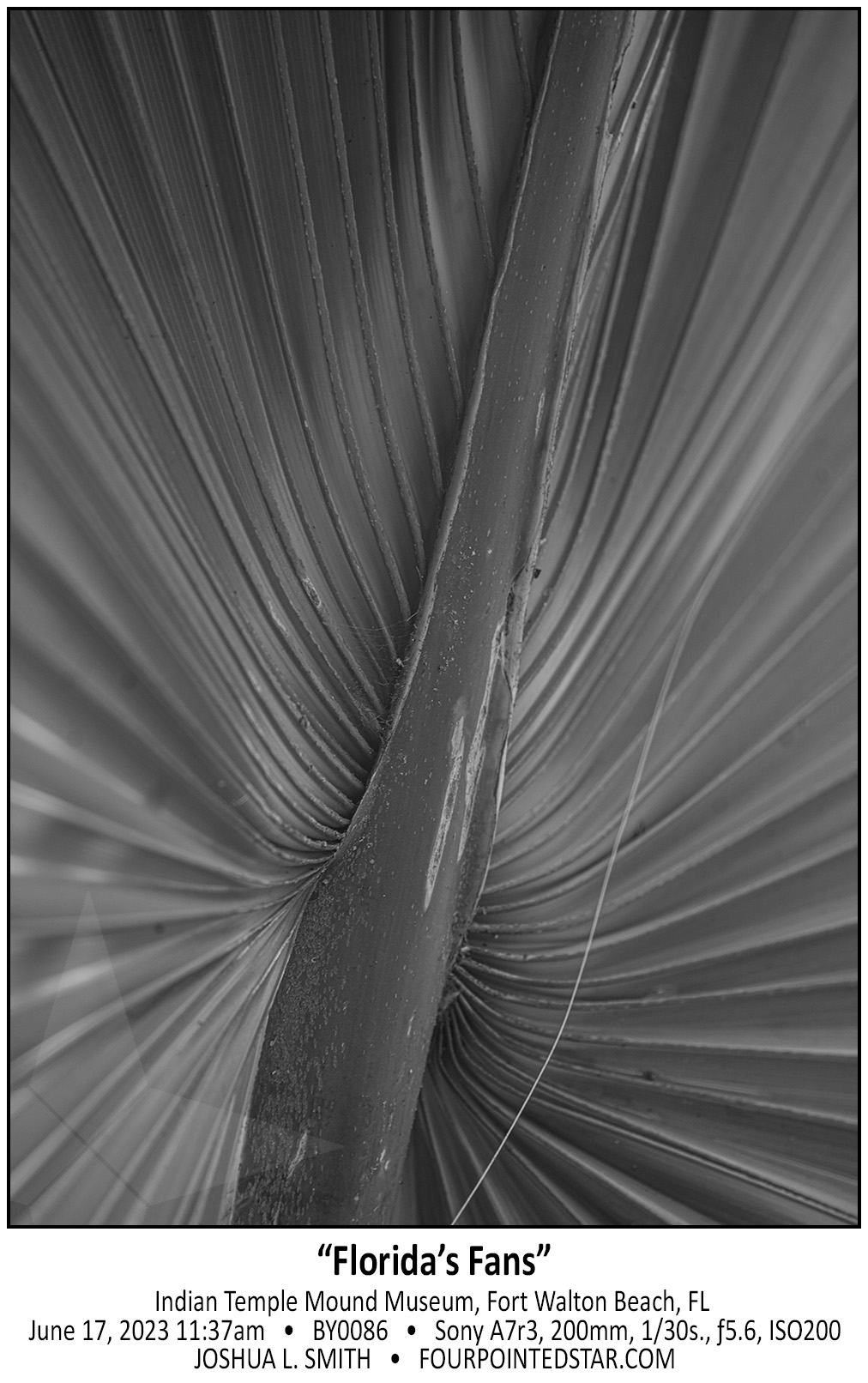 BY0086 230617 113711