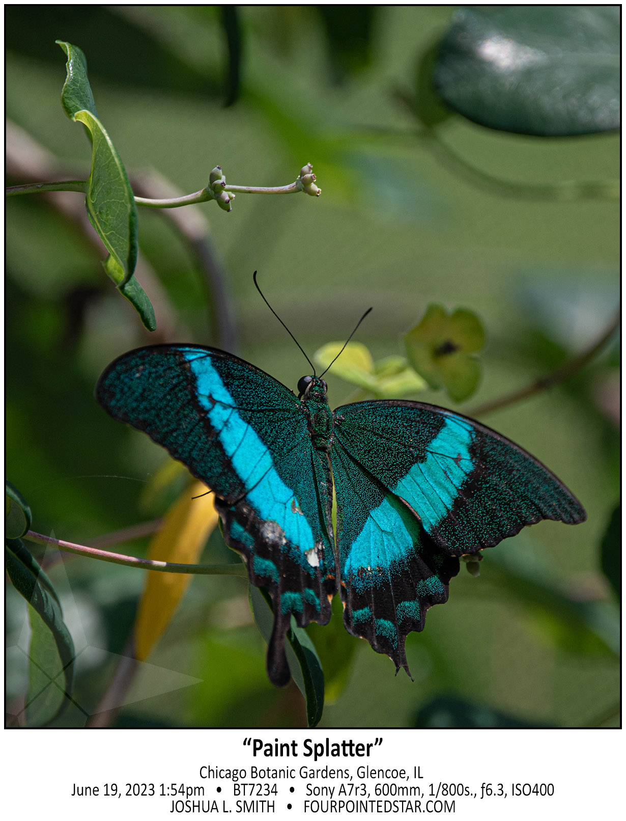 BT7234 230619 135432