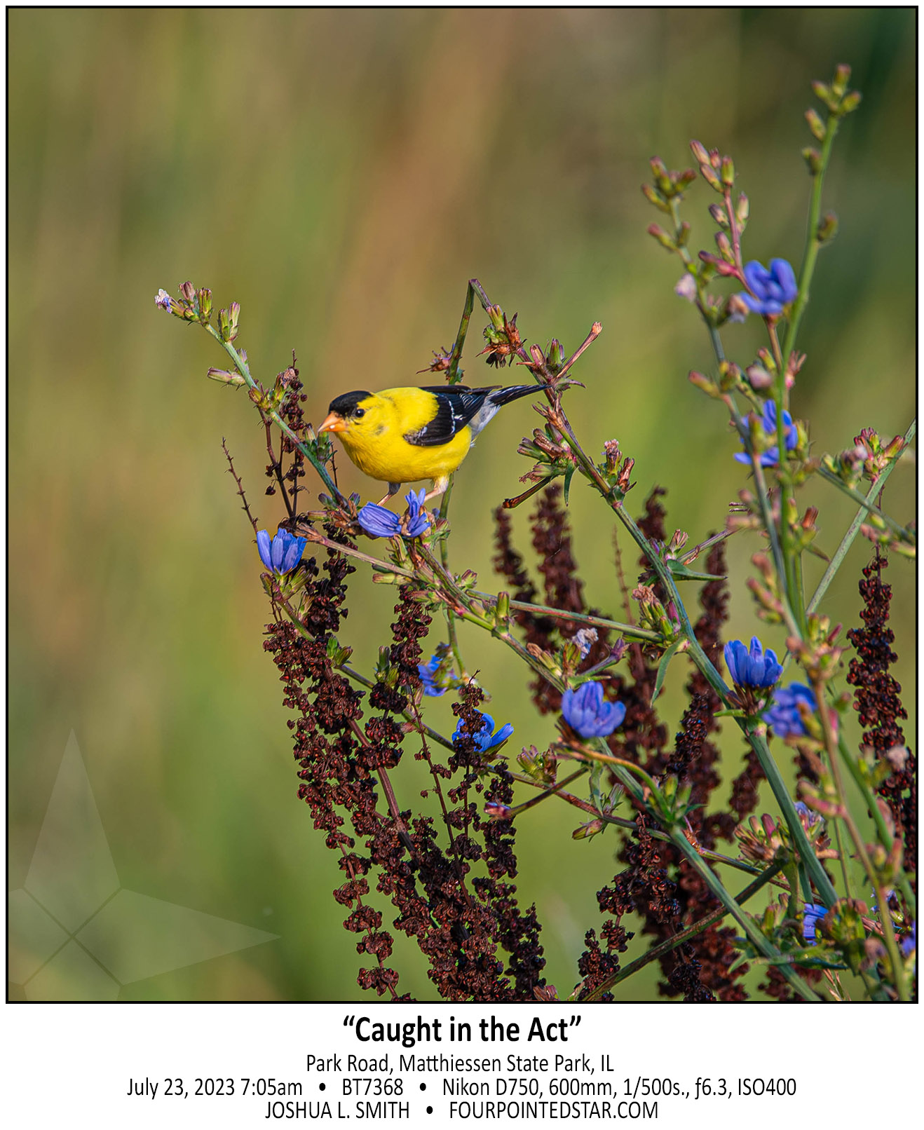 BT7368 230723 070535