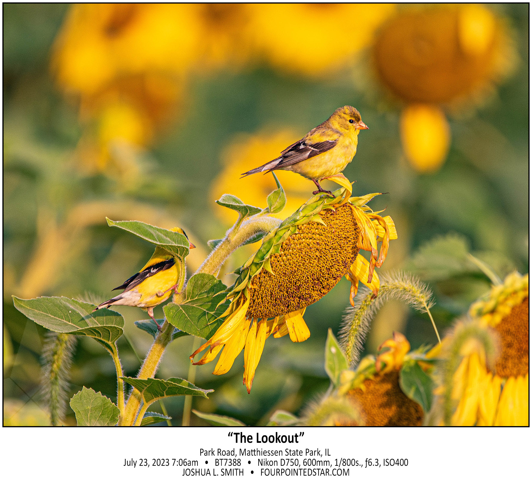 BT7388 230723 070604