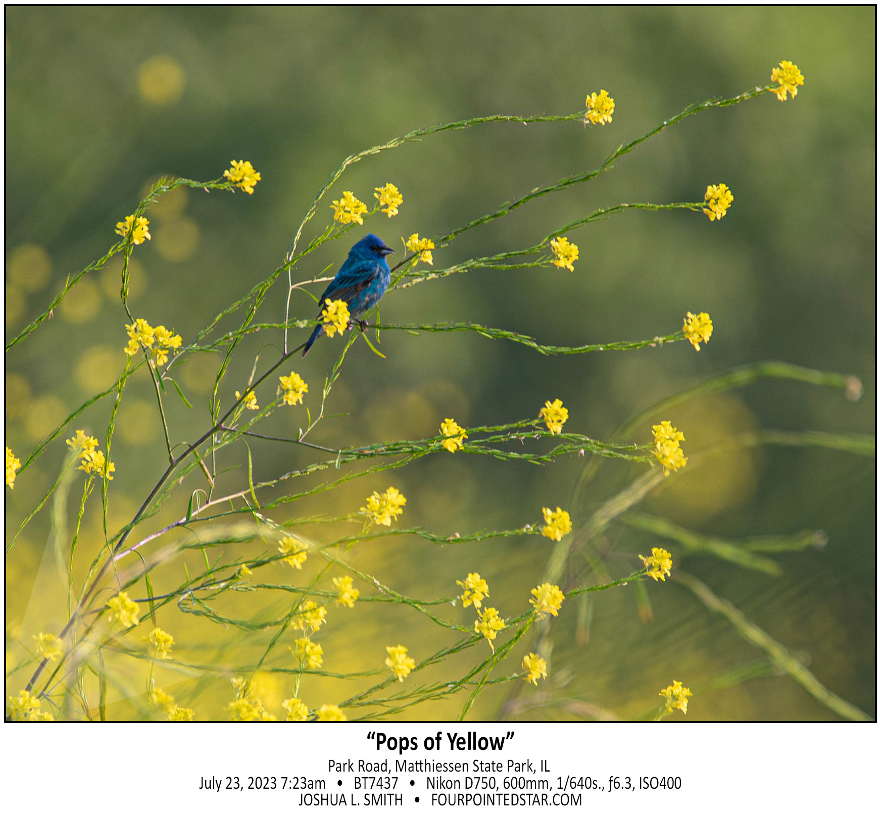 BT7437 230723 072311