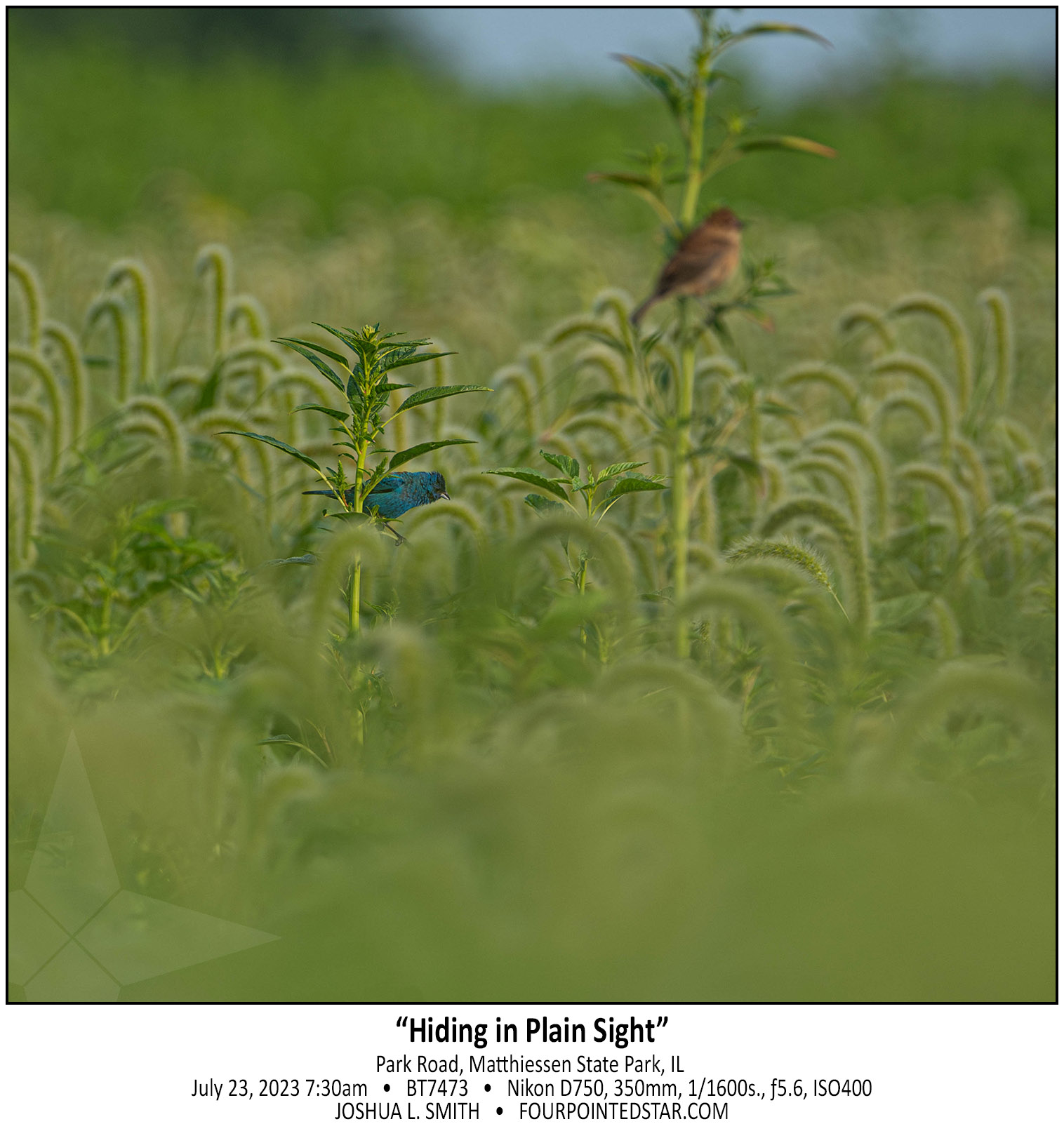 BT7473 230723 073043