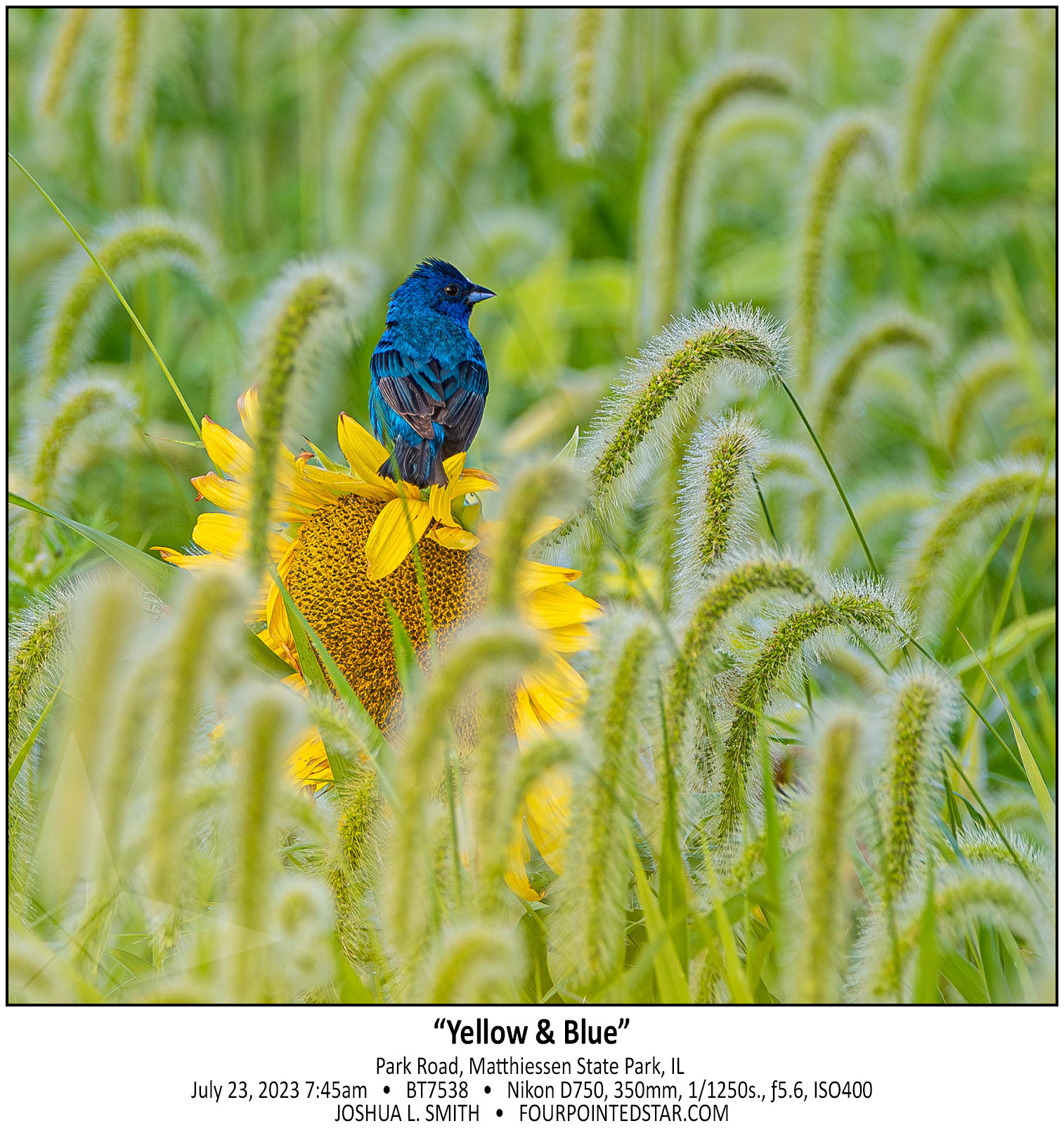 BT7538 230723 074536