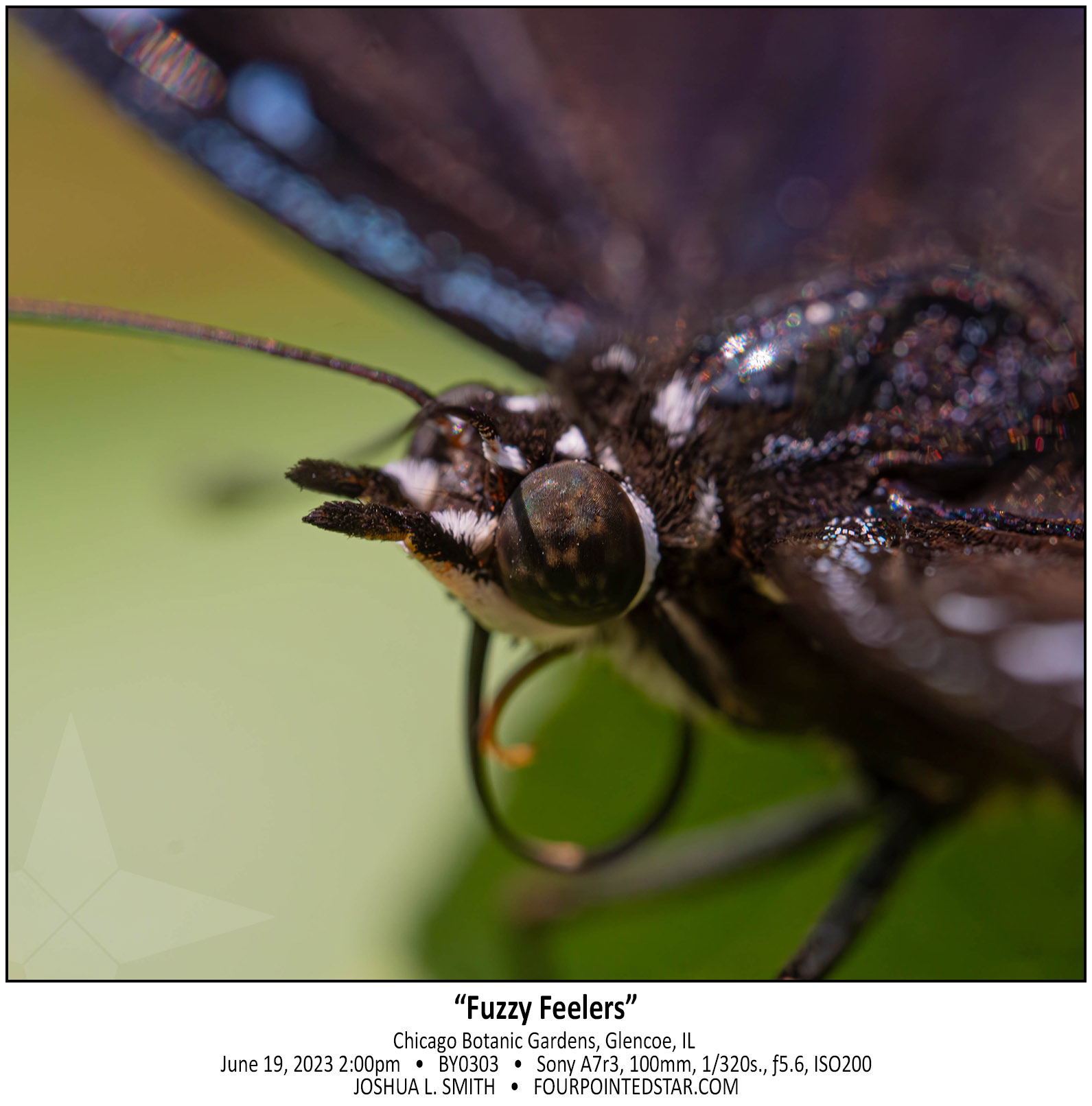 BY0303 230619 140010