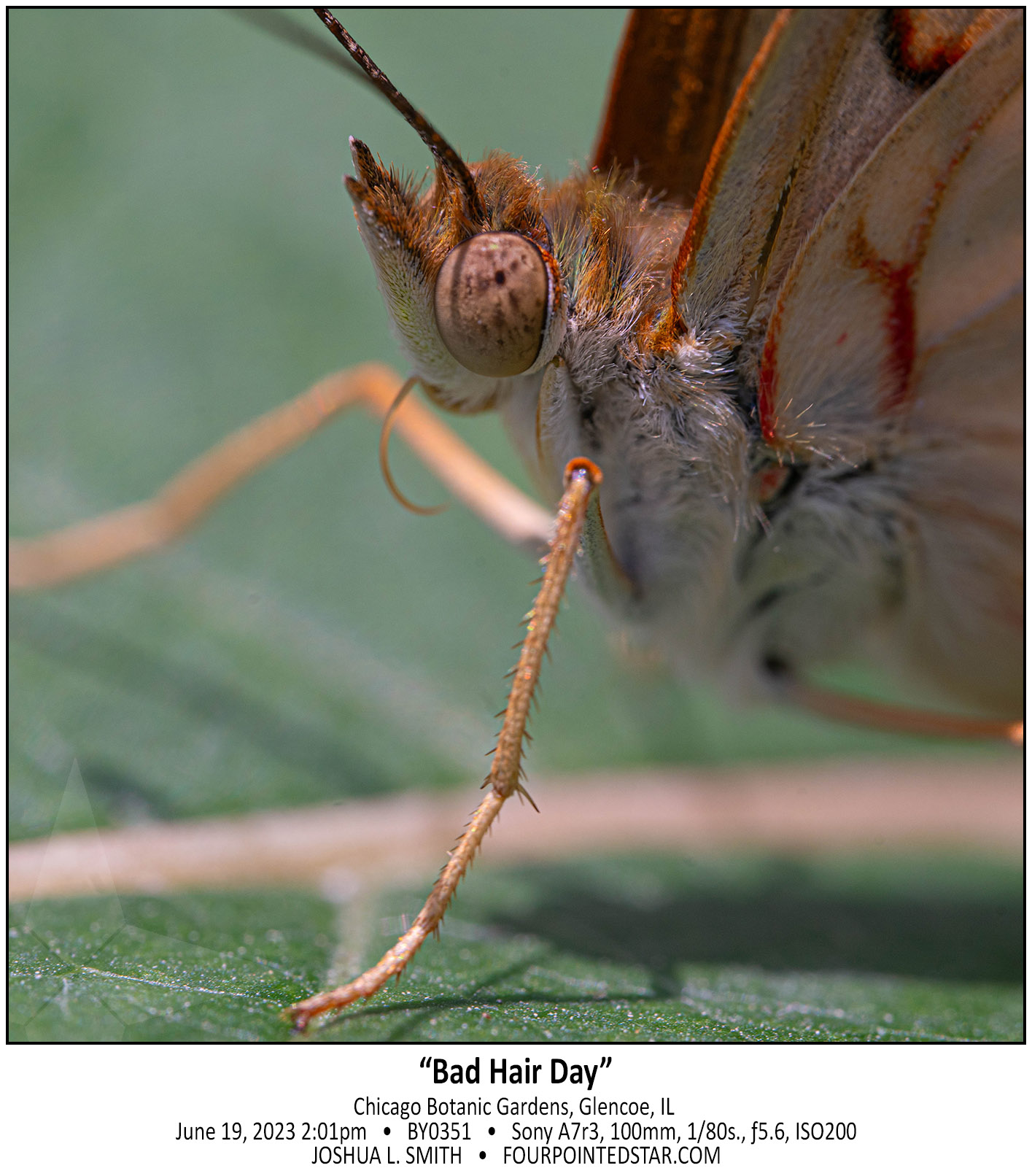 BY0351 230619 140155