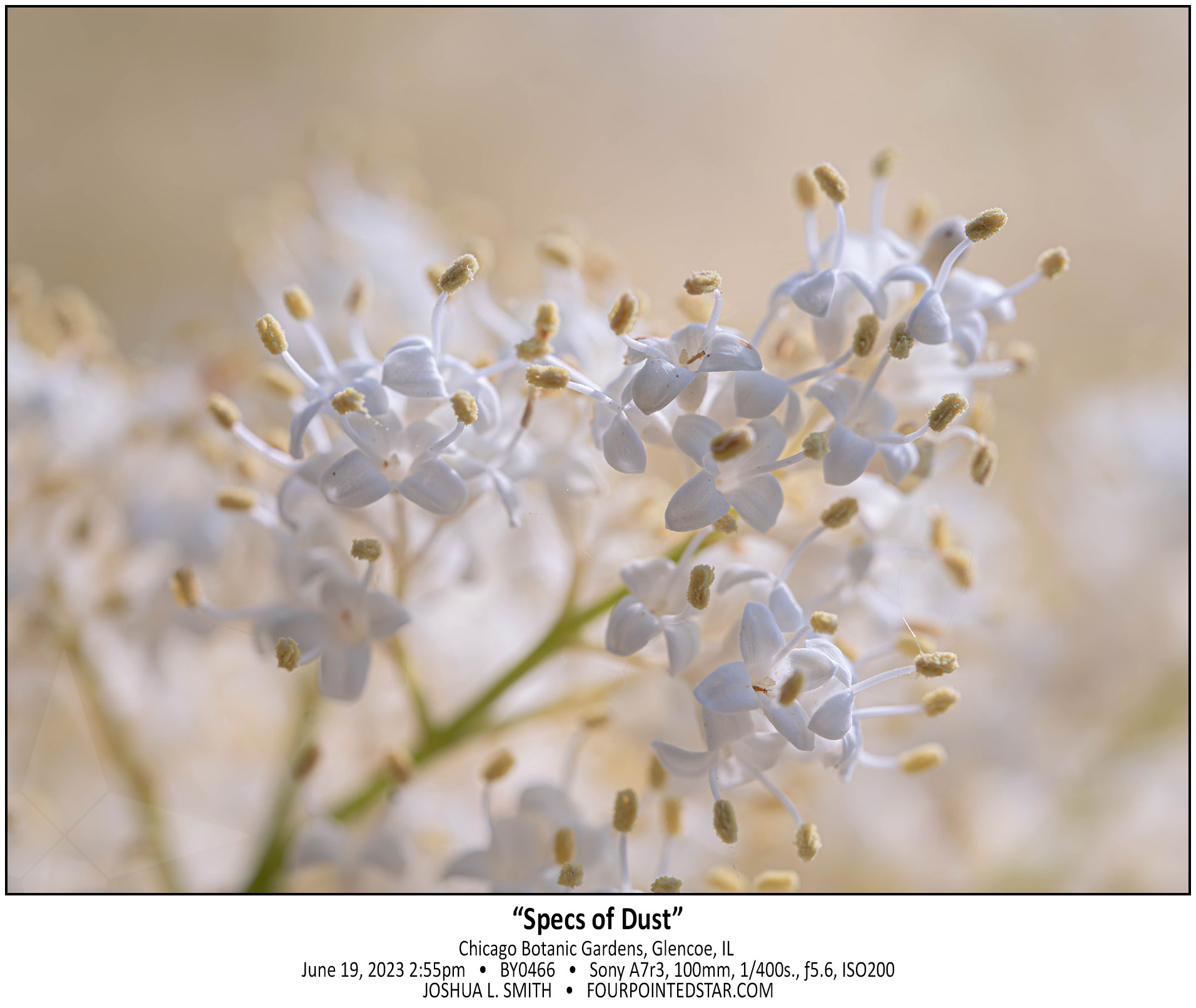 BY0466 230619 145503