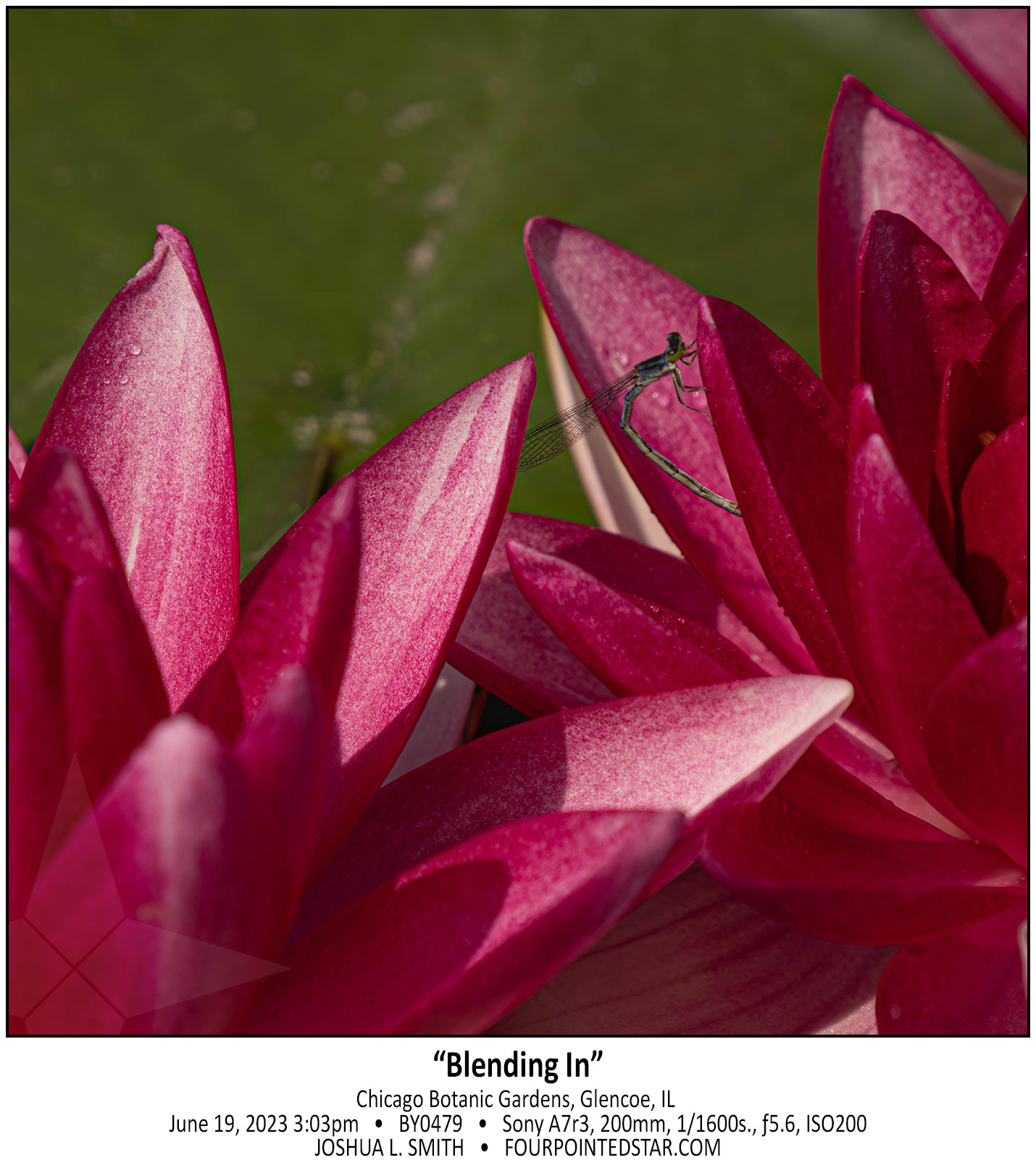 BY0479 230619 150338