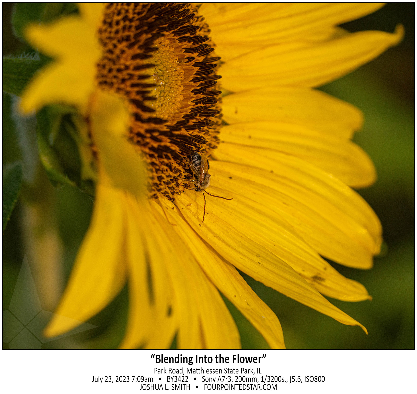 BY3422 230723 070911