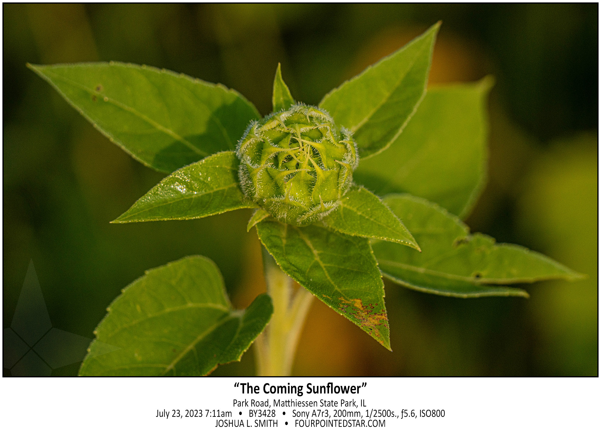 BY3428 230723 071145