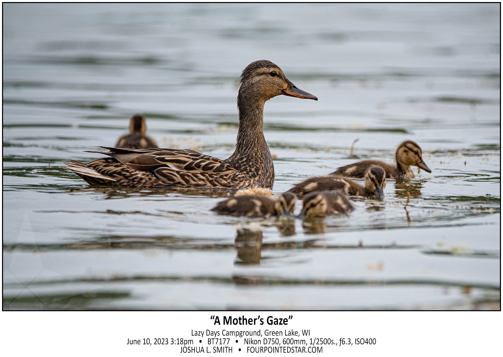 BT7177 230610 151844