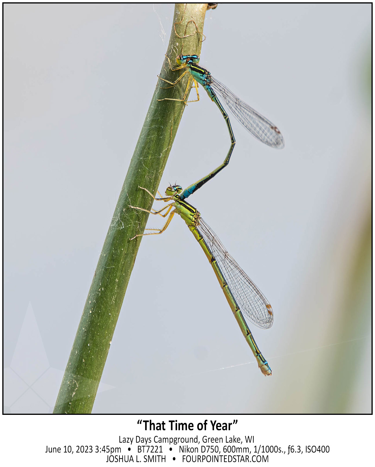 BT7221 230610 154548