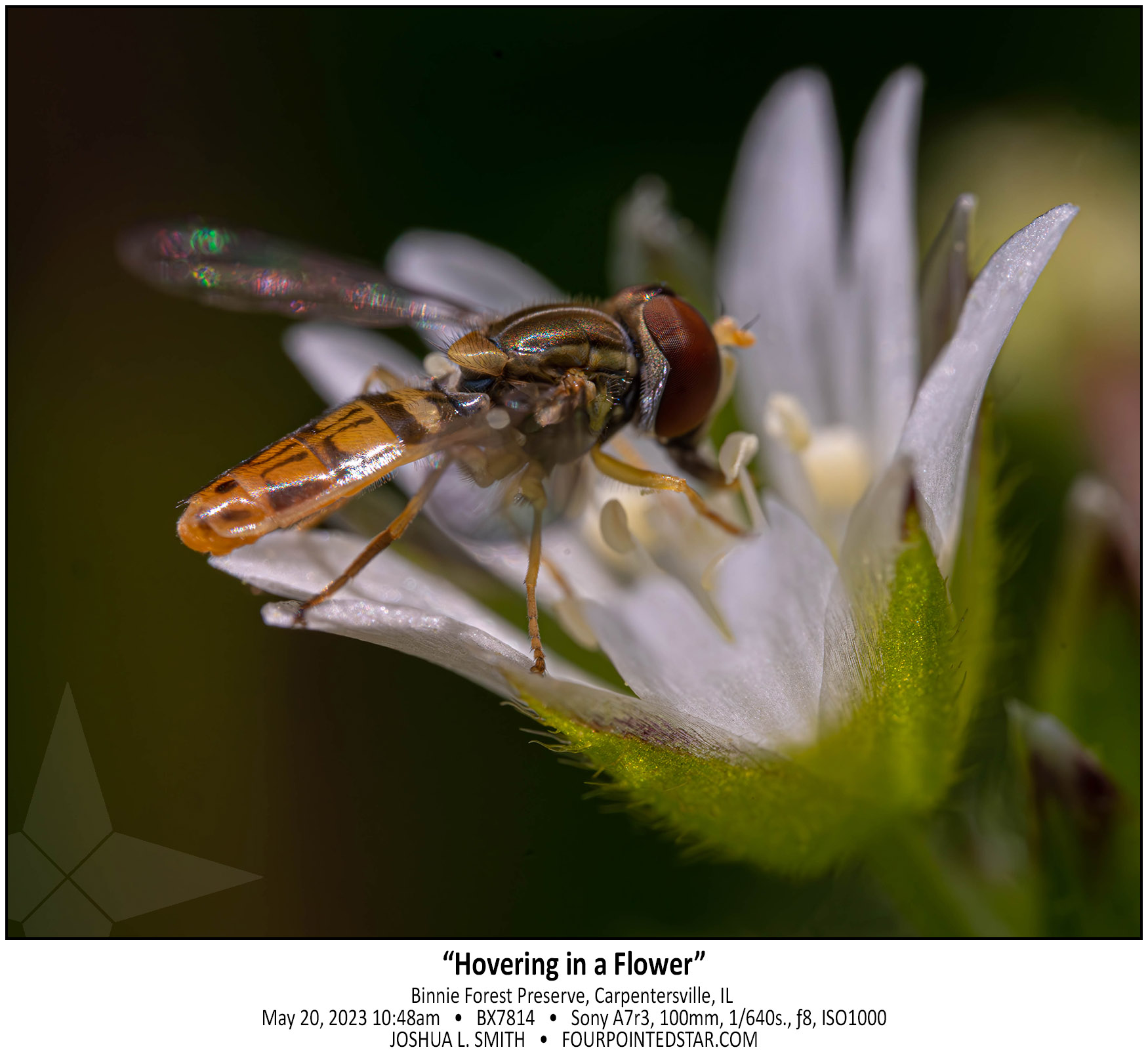 BX7814 230520 104840