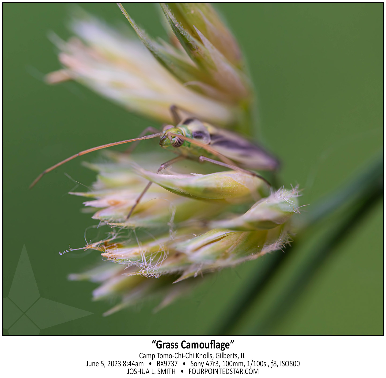 BX9737 230605 084405