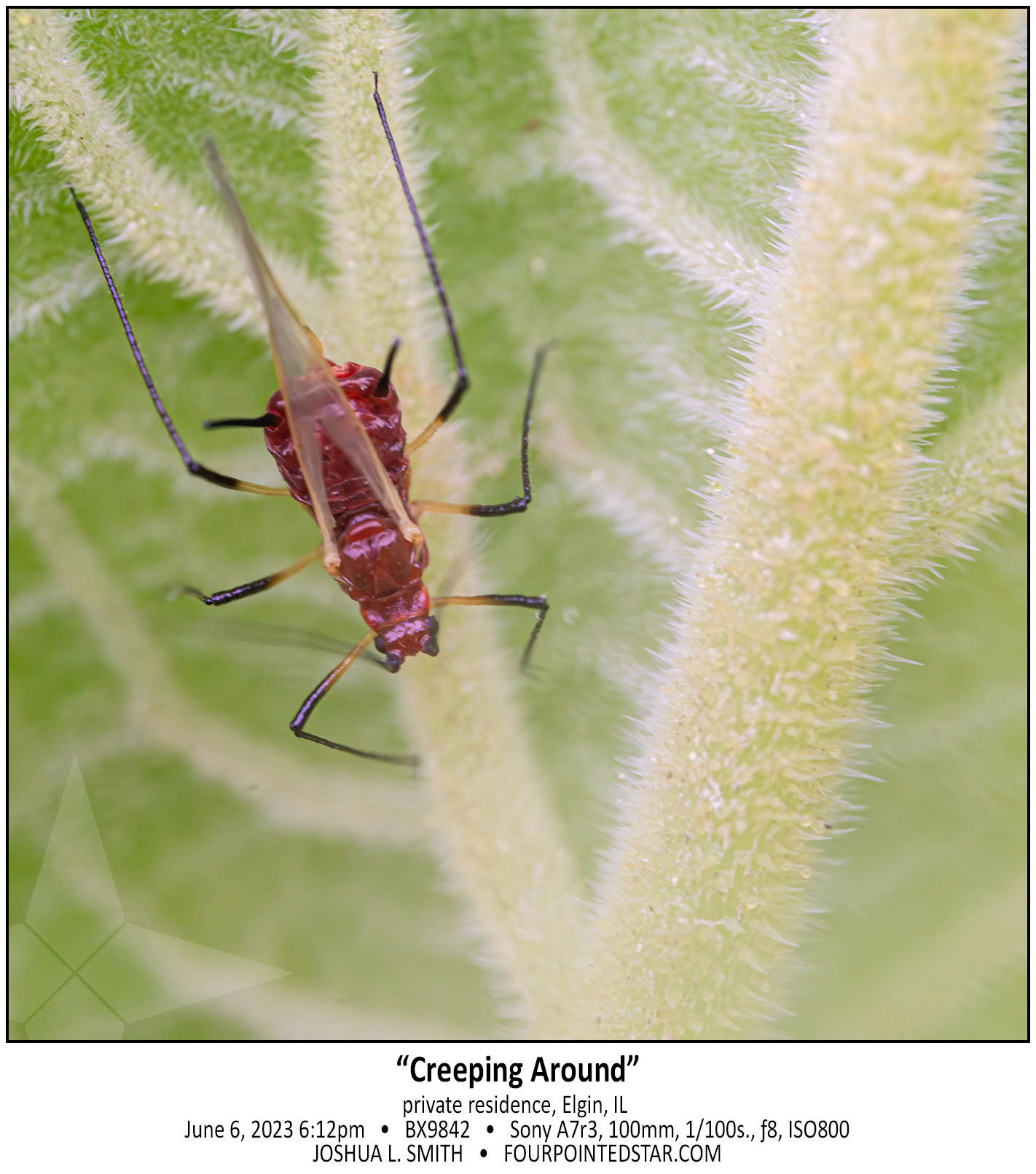 BX9842 230606 181254