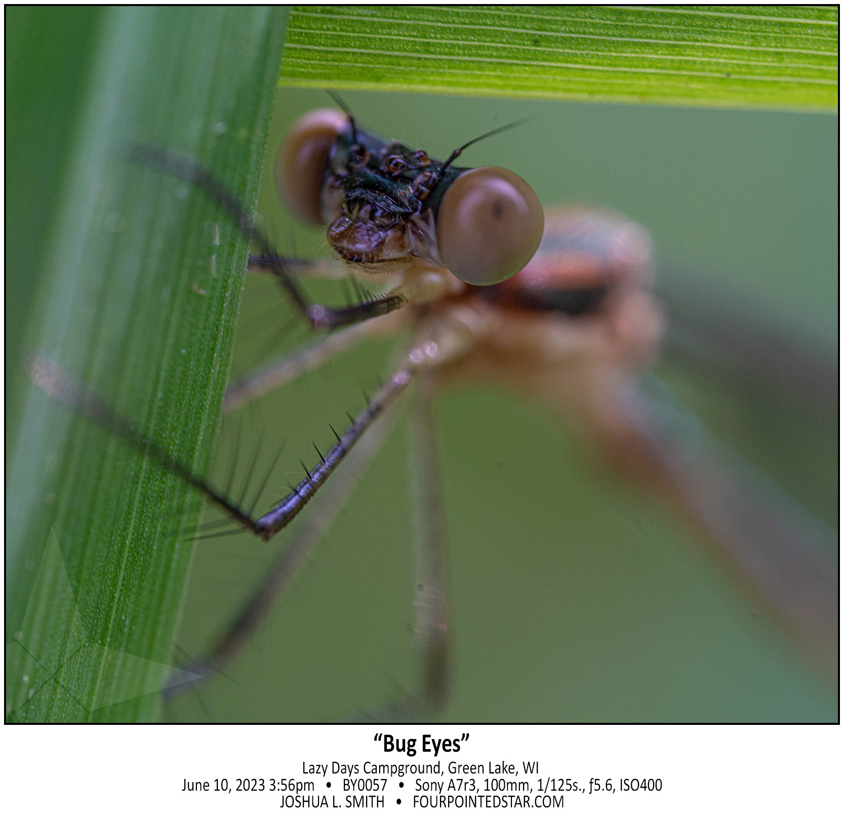 BY0057 230610 155645