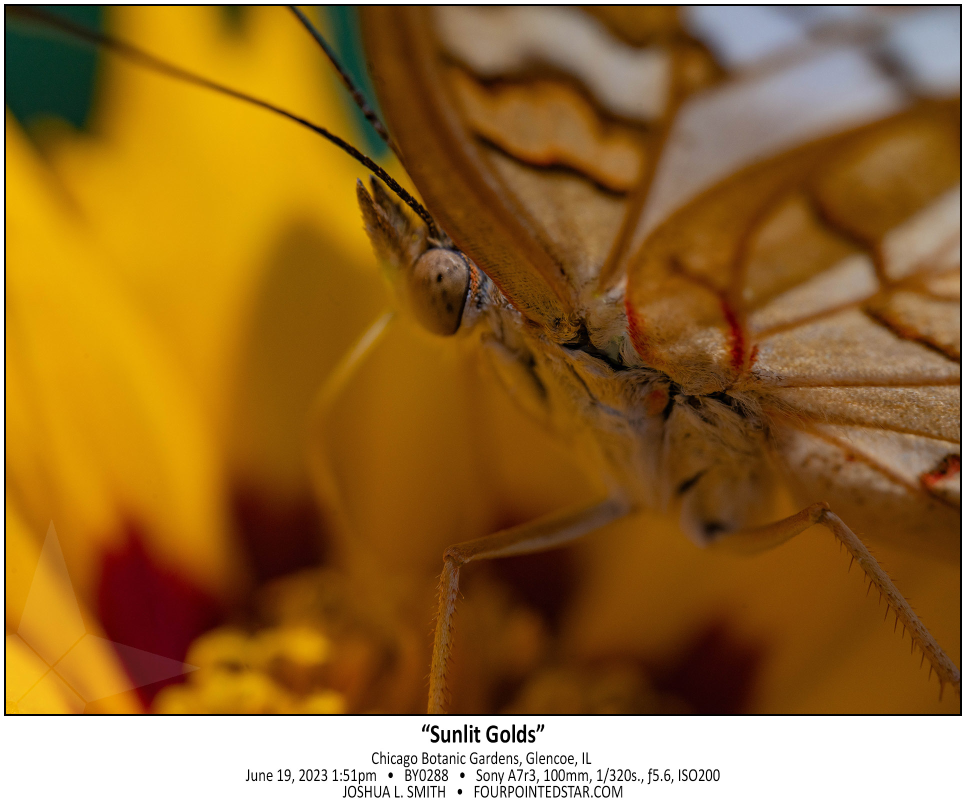 BY0288 230619 135139